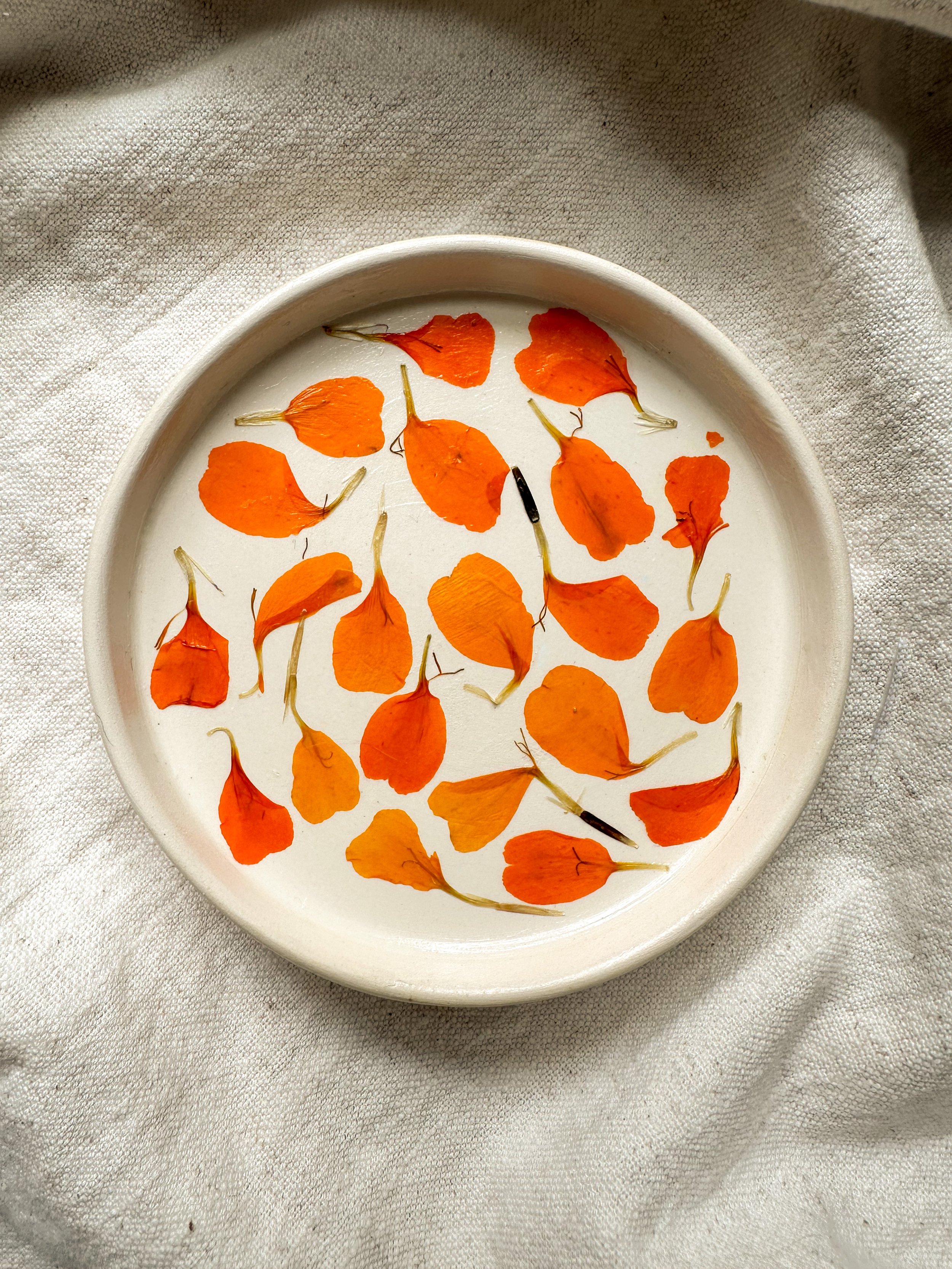Begonia Petals
