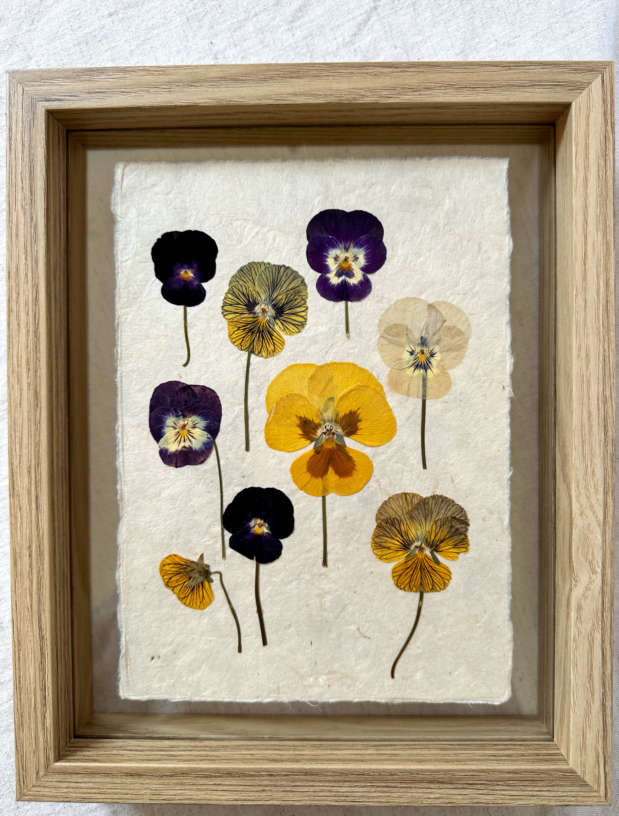 Pansy Frame III