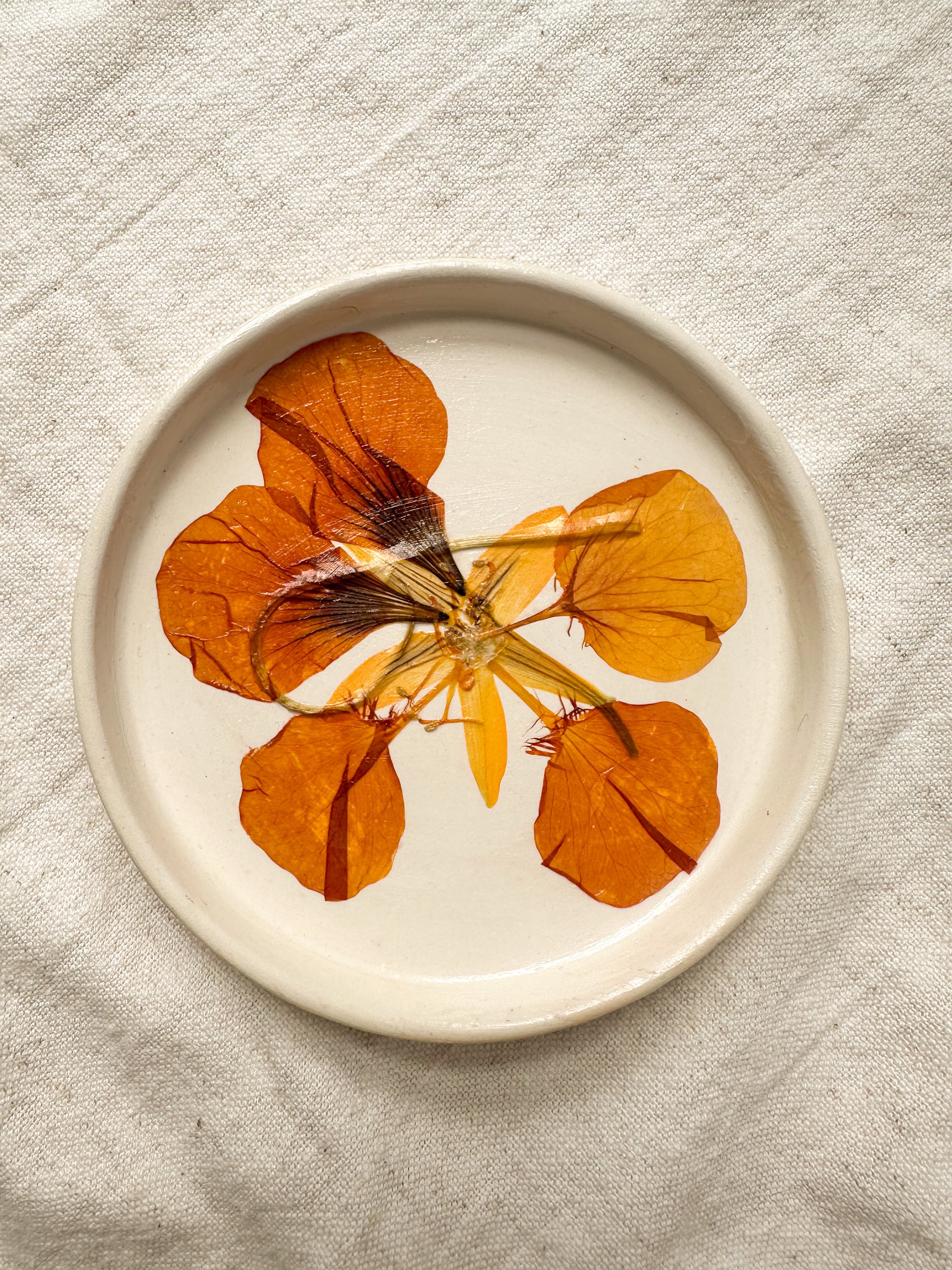 Nasturtium Fleur