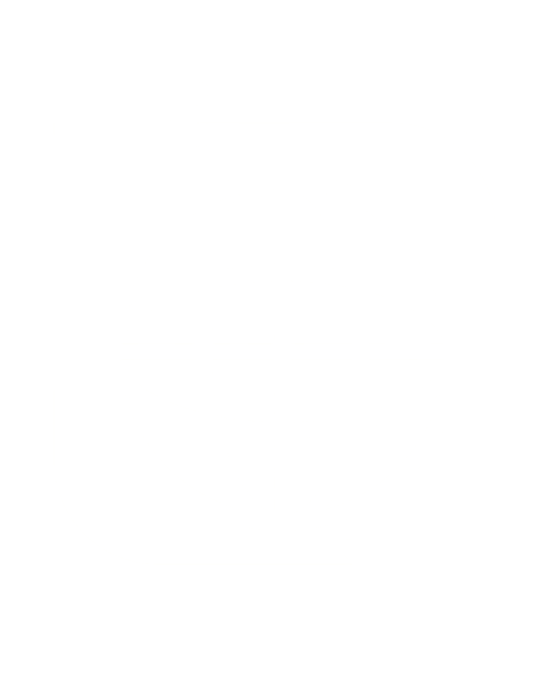 Diseño de la arquitectura corporativa de tu grupo entre México, Estados Unidos y Canadá, coordinando abogados admitidos en cada jurisdicción.