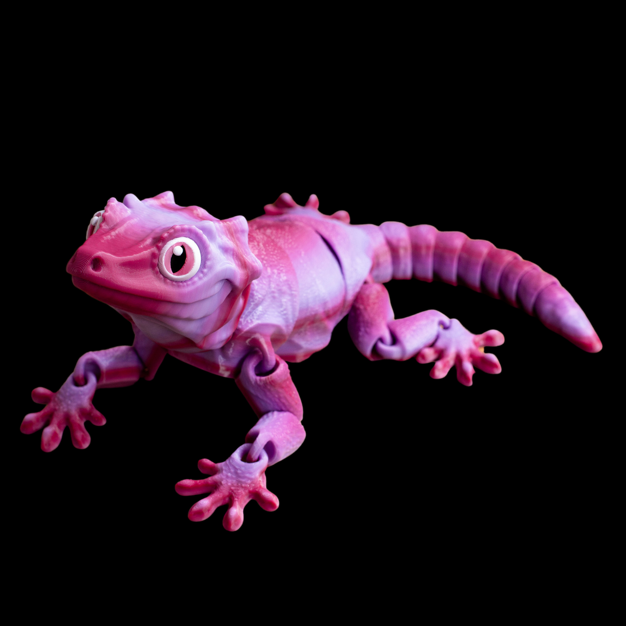 gargaol gecko.png