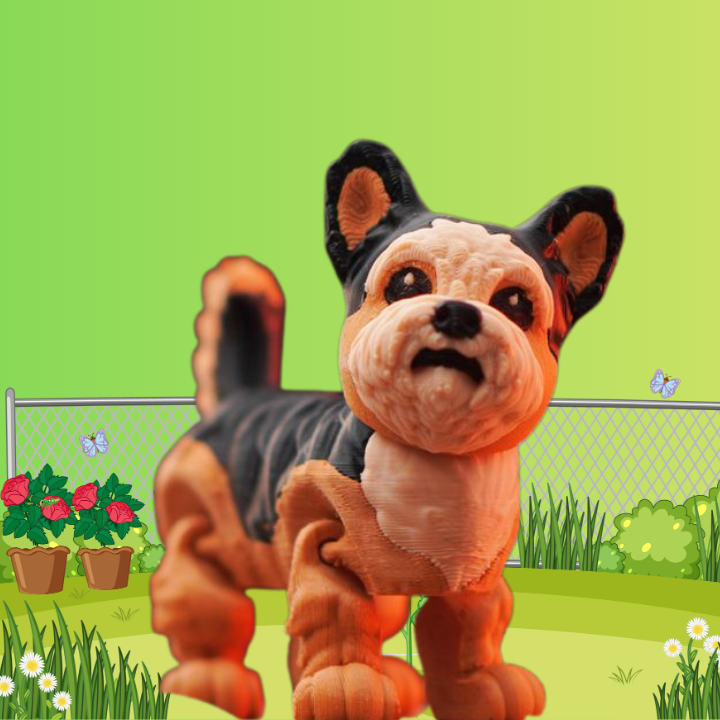 yorkie.png