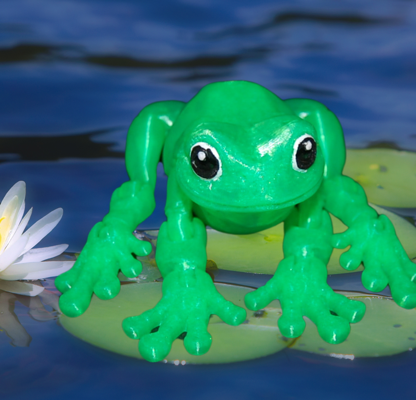 whites tree frog1.png