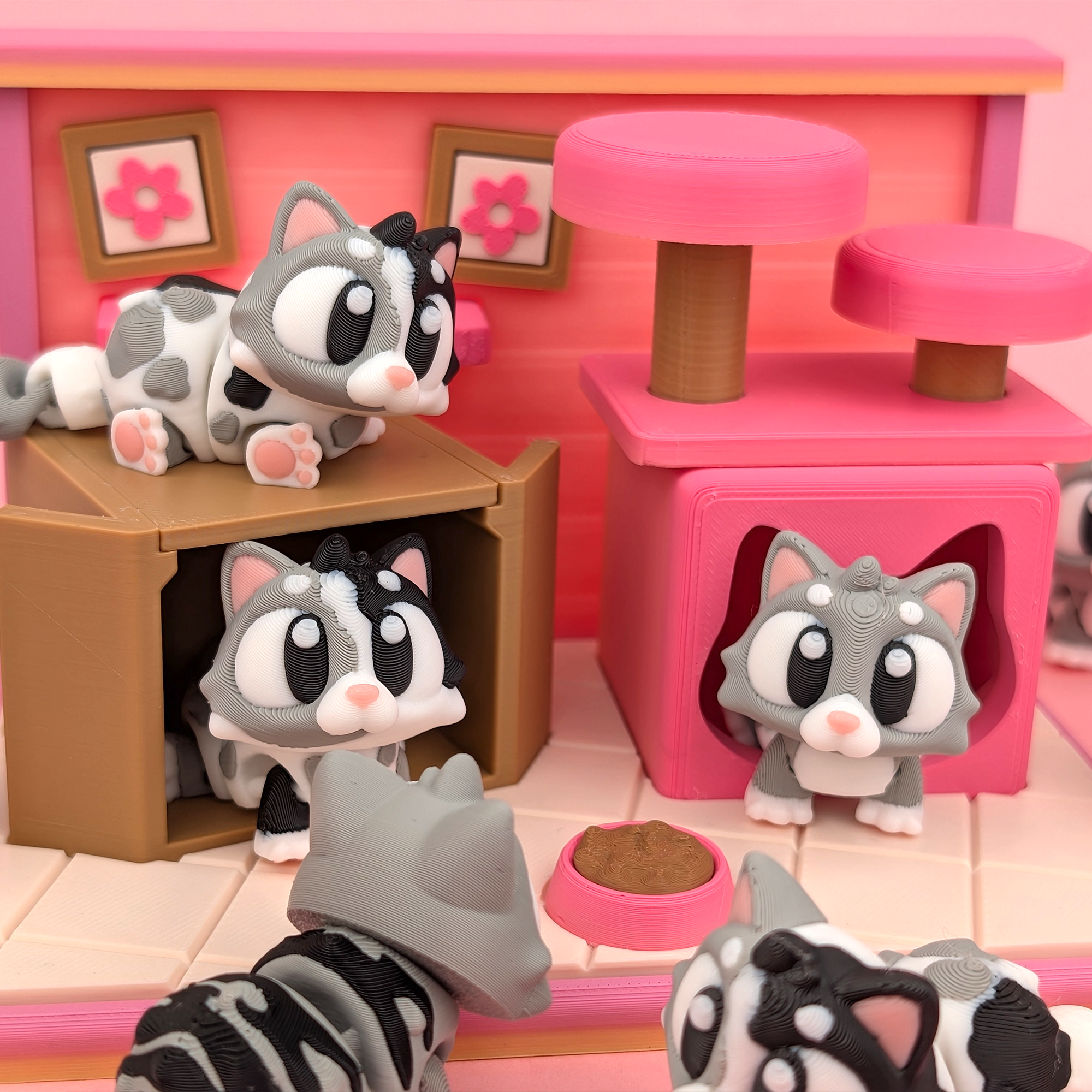 cat set