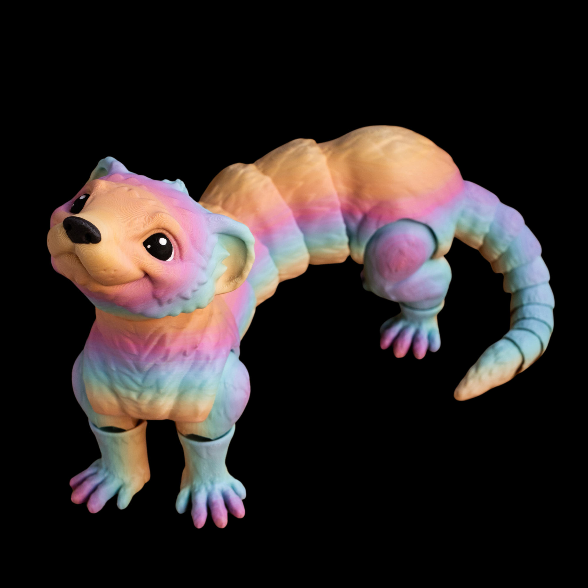 ferret.png