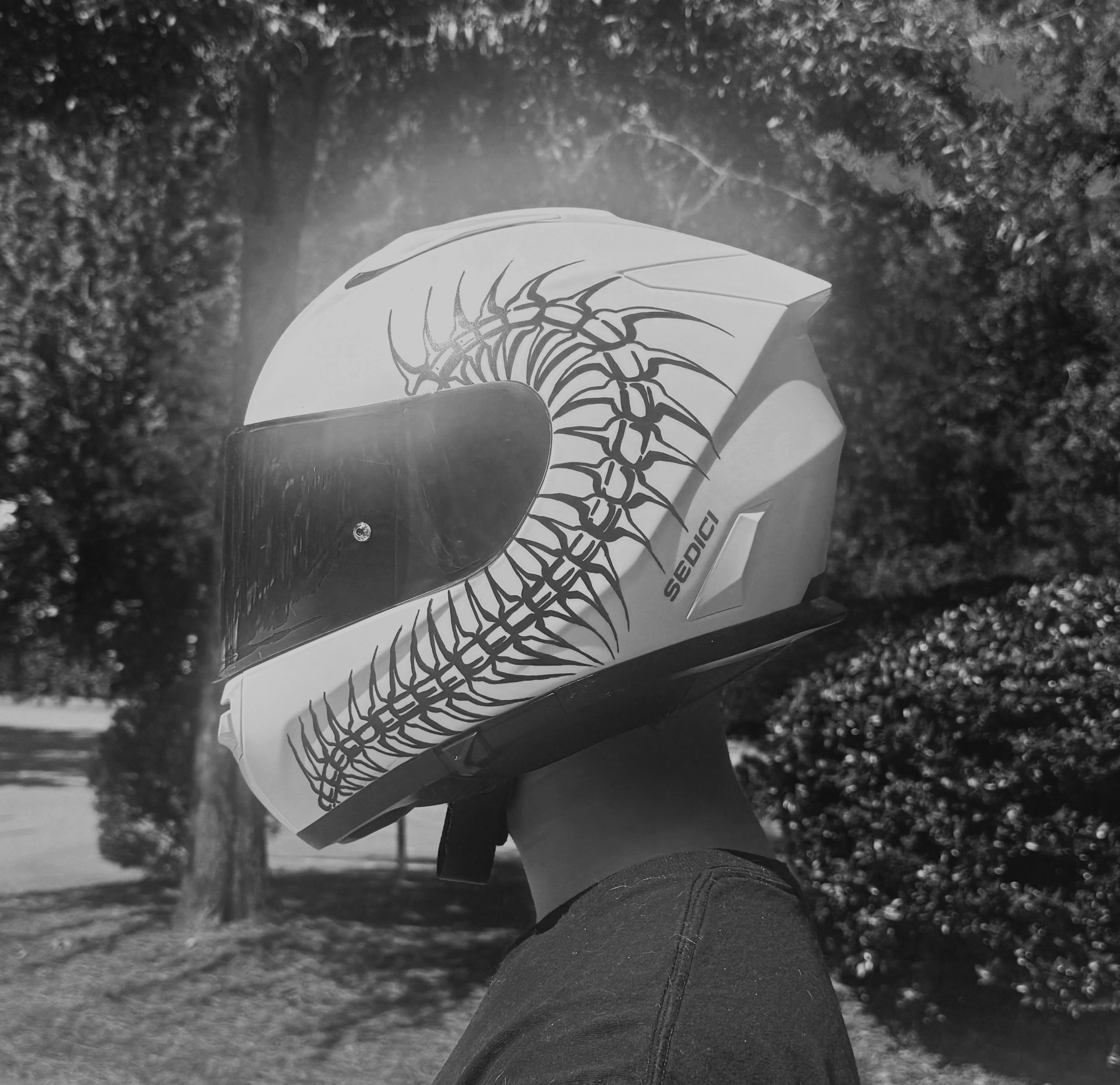 Bike Helmet, Commission, 2026