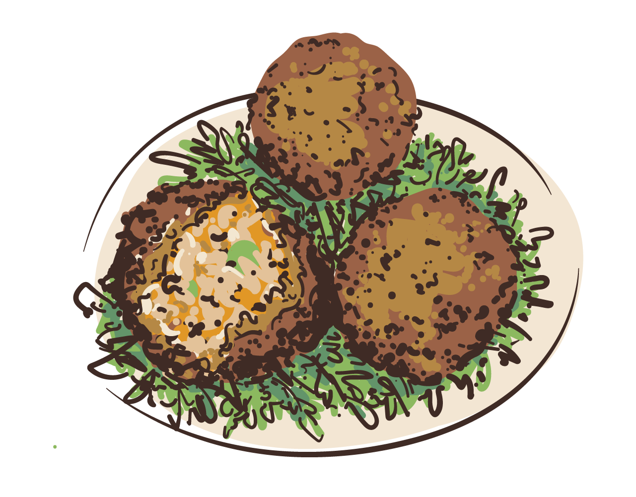 Illustration of two fried meatballs on a white plate with green garnish, one of the meatballs is cut in half showing the inside.