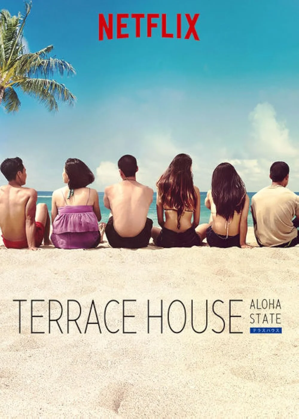 2016-2017_Terrace House Aloha State.jpg