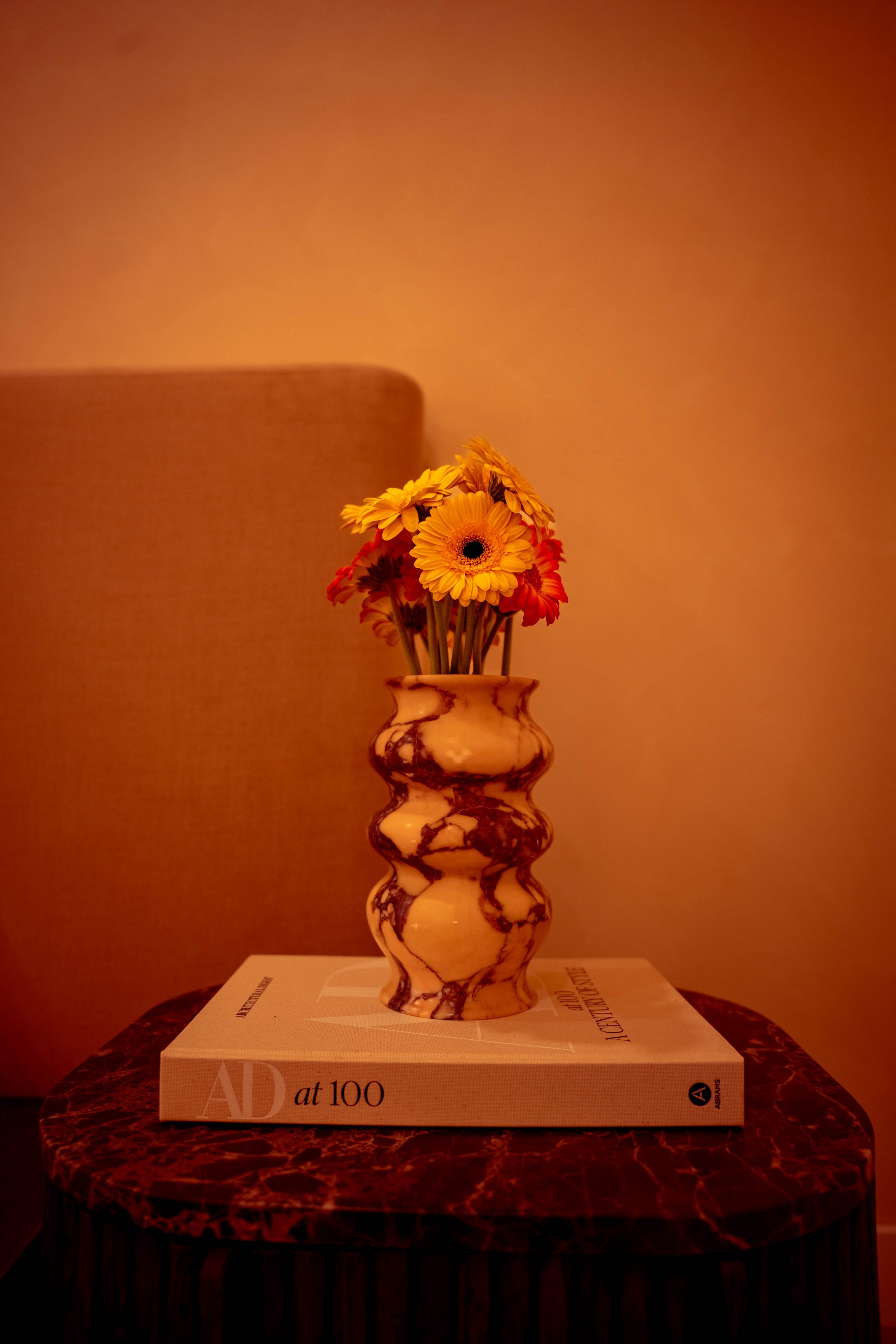 VISUAL NOWIE DANVILLE-79.jpg