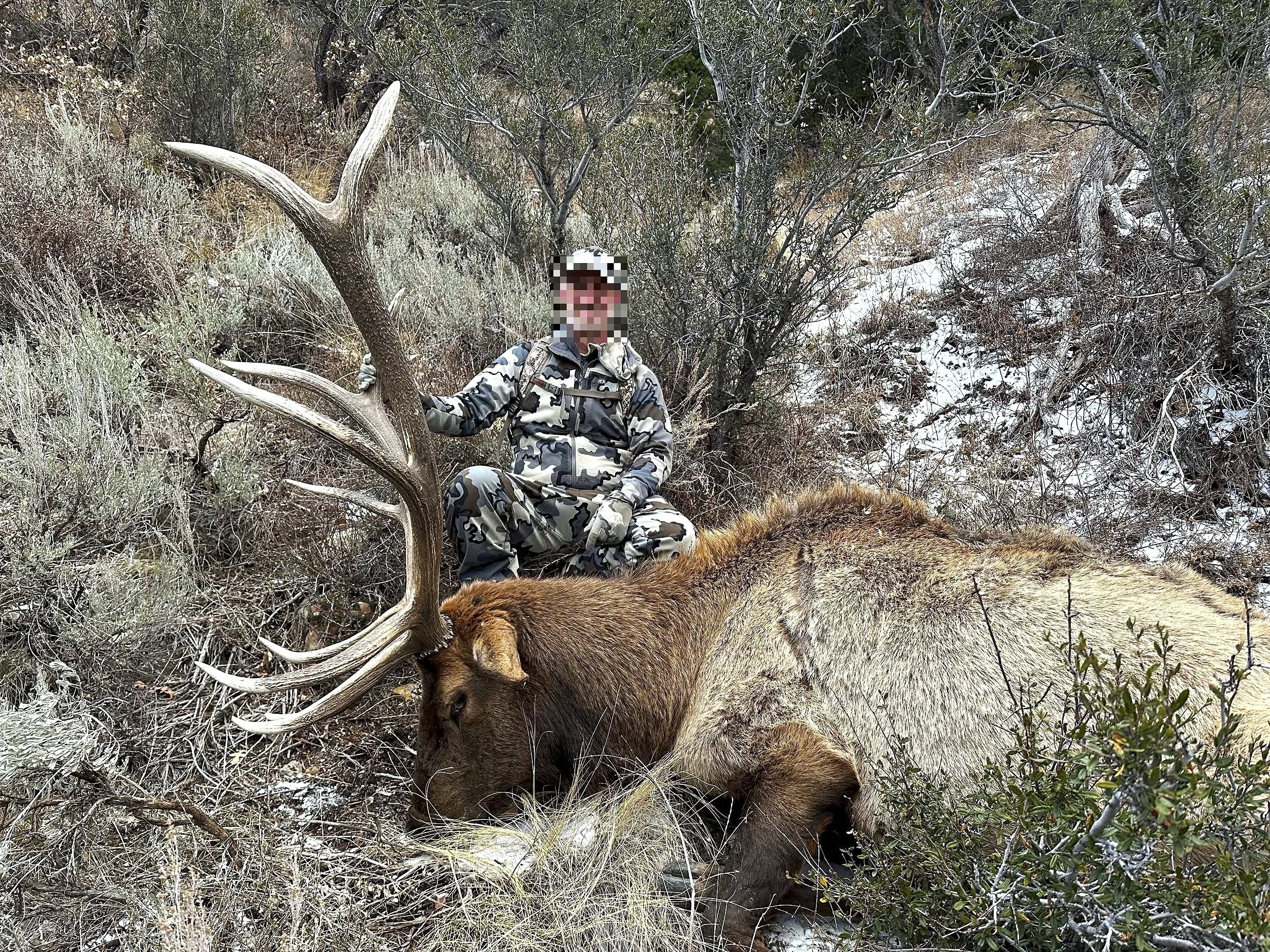 Jesse+McSwain+Bull+2024.jpg