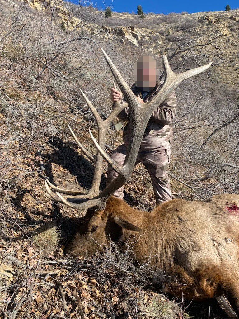 elk_2022.jpg