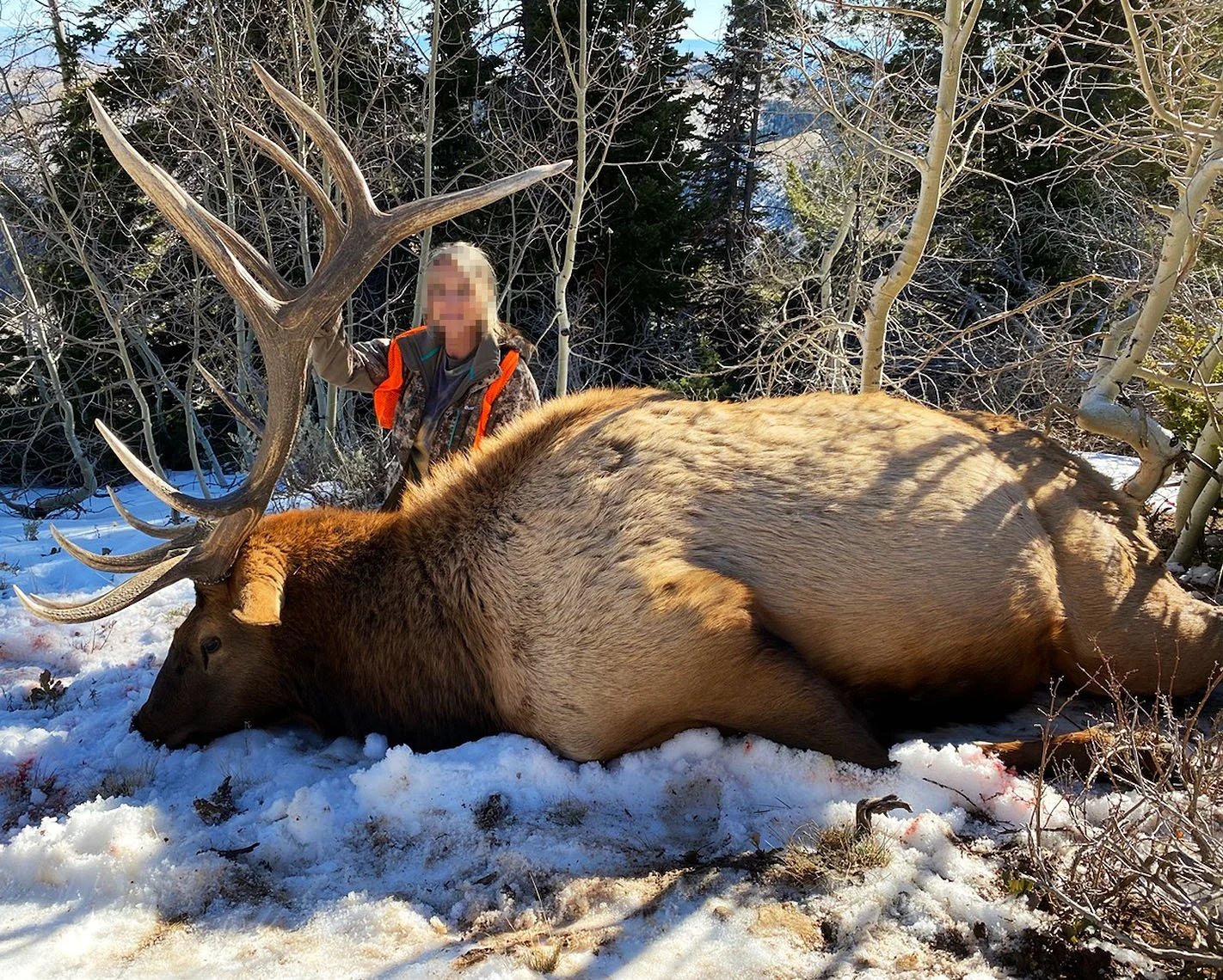 2022_elk_barb.jpg