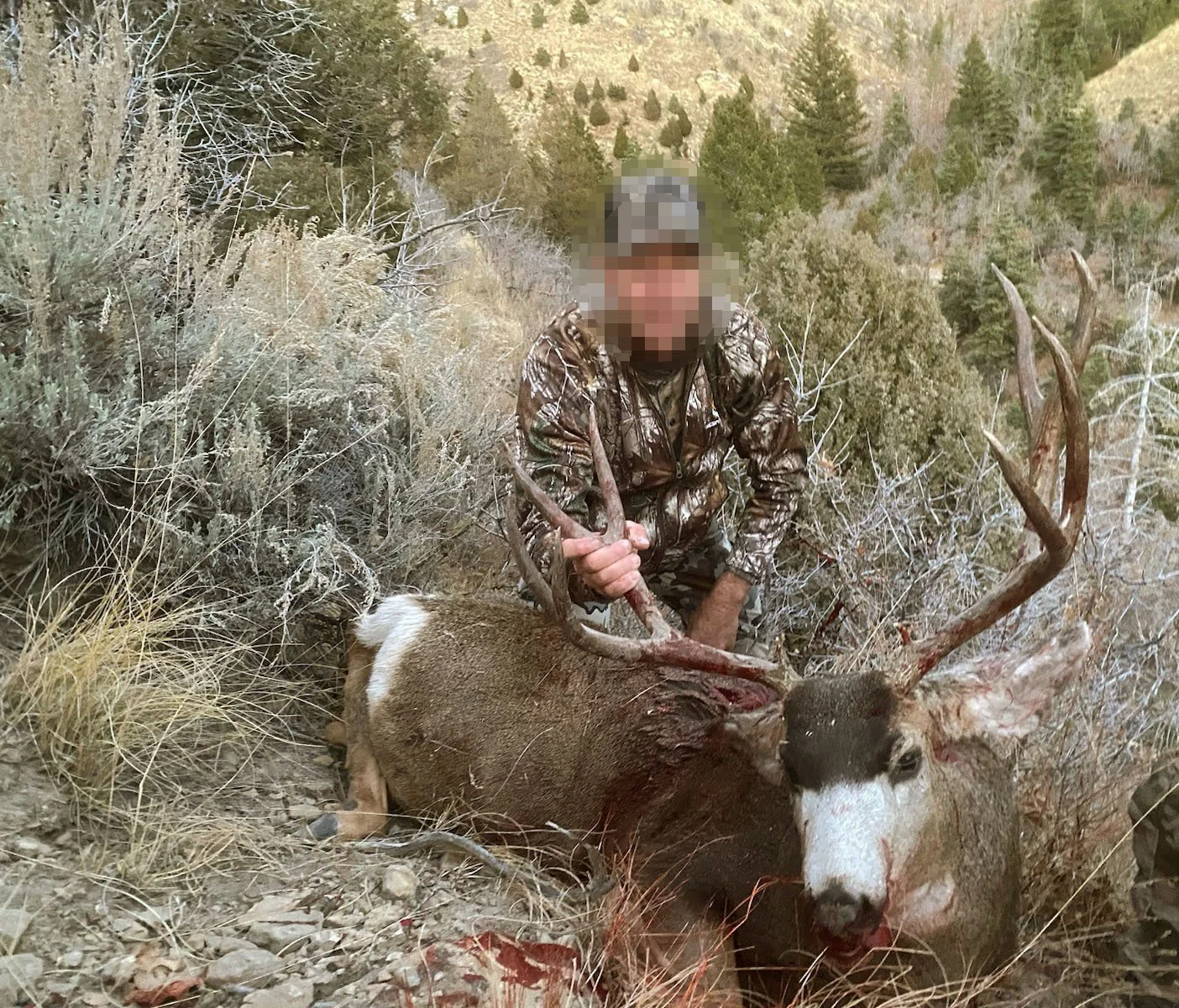 bolin_buck_2023.jpg
