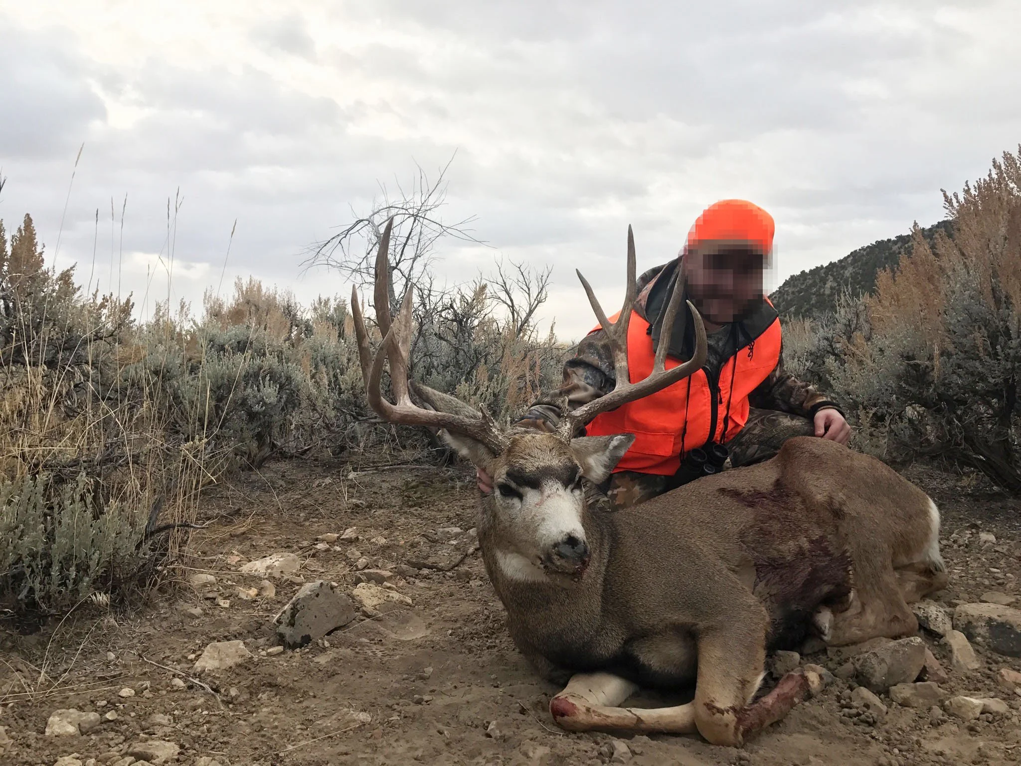blackhawk_mule_deer_2017.jpg