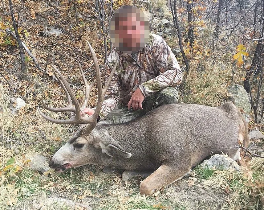 2016_cwmu_mule_deer.jpg