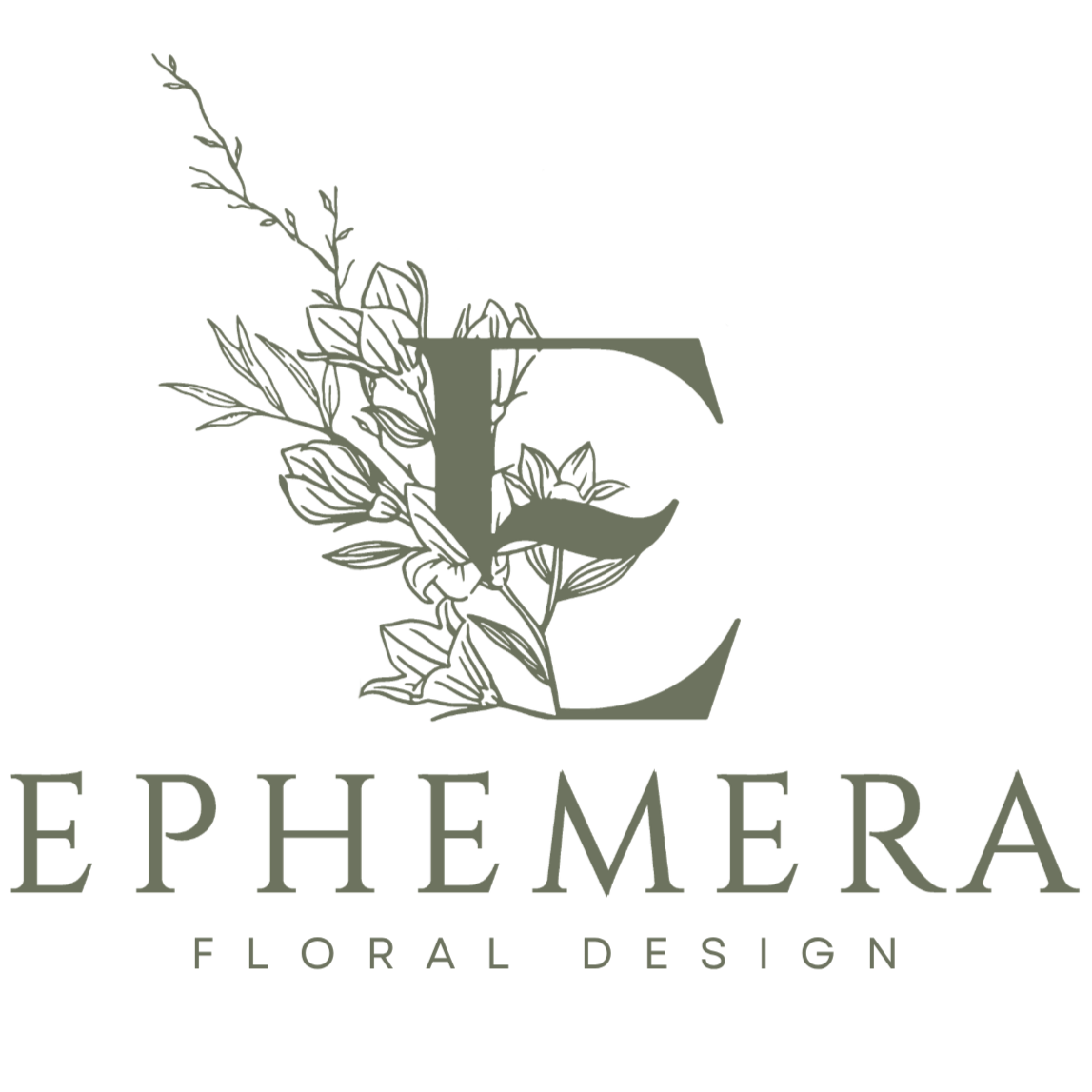 Ephemera Design Concepts