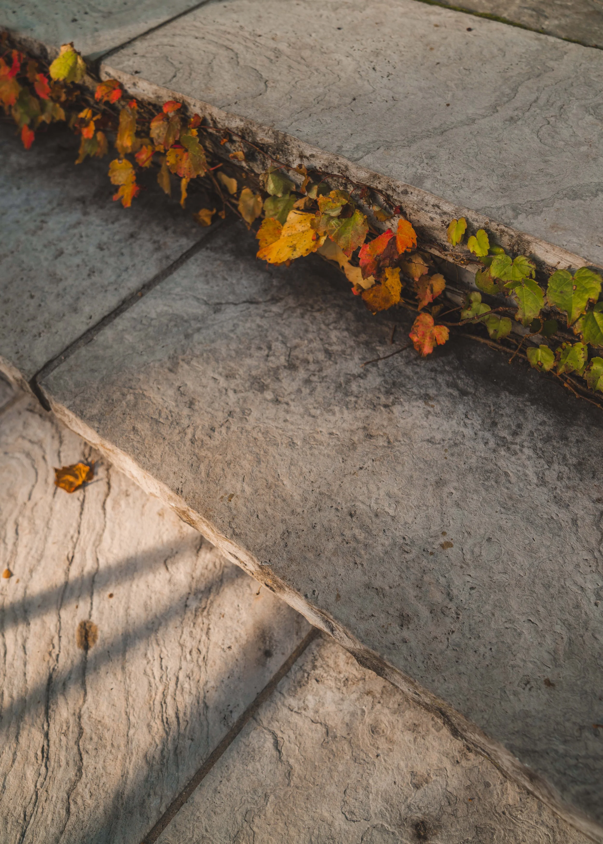Hand-rocked natural stone steps