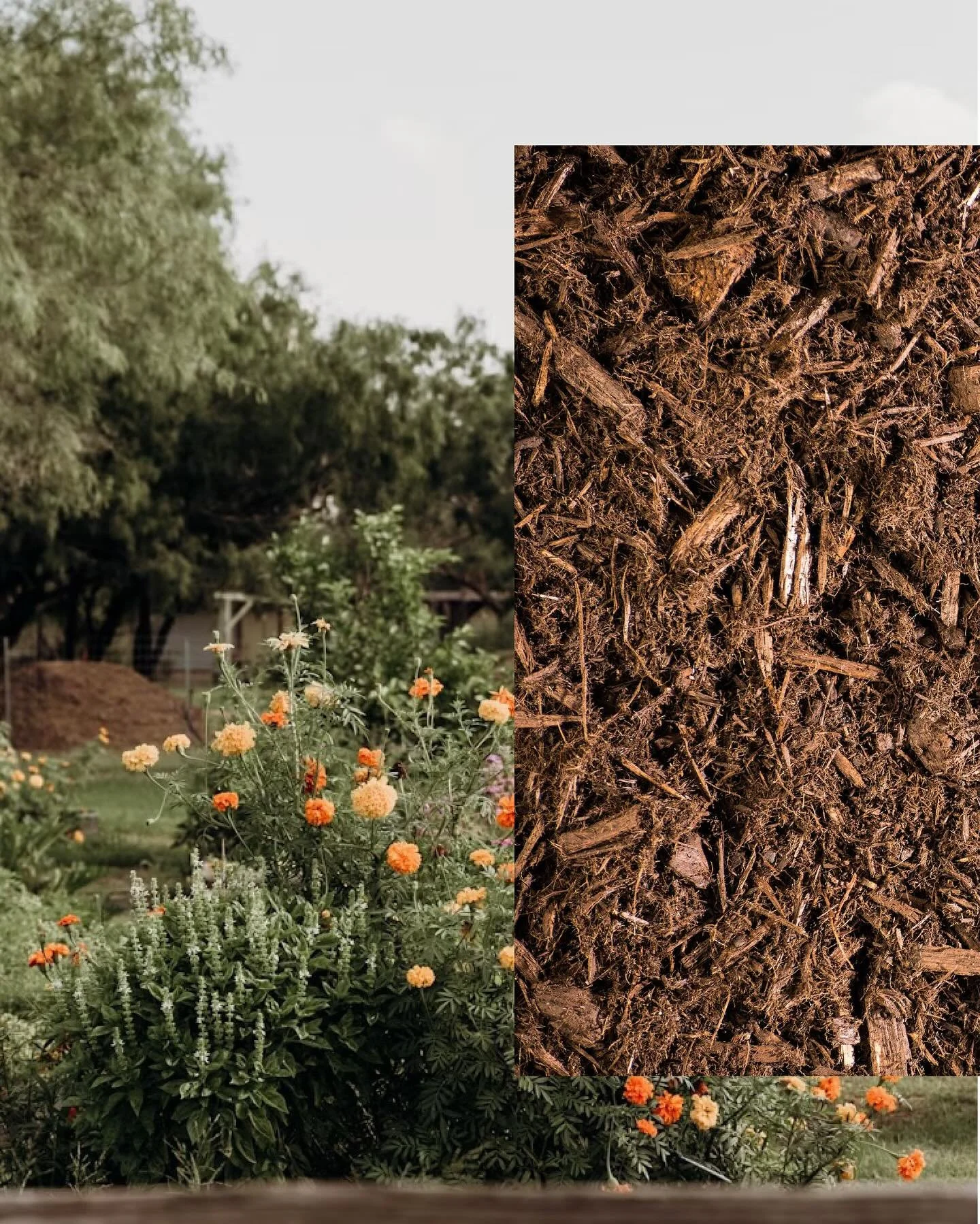 The Fall Fix🍂
Proper end-of-season work sets the stage for a healthy and vibrant Spring. Here are some essential end-of-season landscaping tips:

Boost Your Roots
&rarr; Apply a layer of our Garden Builder to encourage deep root growth and restore n