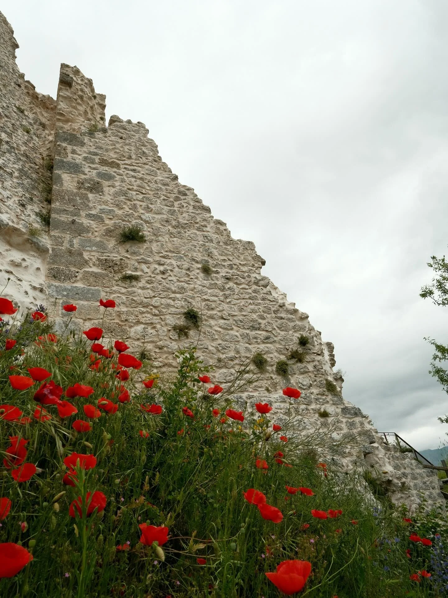 &ldquo;Although no sculptured marble should rise to their memory, nor engraved stone bear record of their deeds, yet will their remembrance be as lasting as the land they honoured.&rdquo;
&mdash;
Lest We Forget