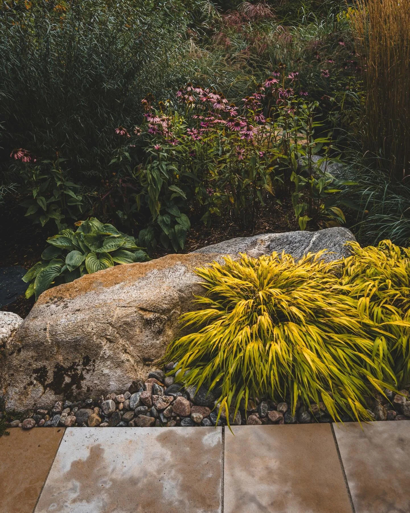 APRIL HOURS🌿
Monday - Friday 7AM-5PM
Saturdays 9AM-4PM

*Closed for Good Friday (April 3rd)