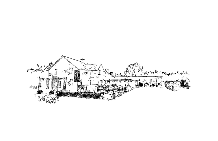 Creative Landscape Depot - St. Jacobs photo 6