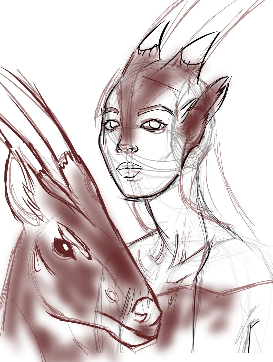 Sketch for Endangered species project "Saola"