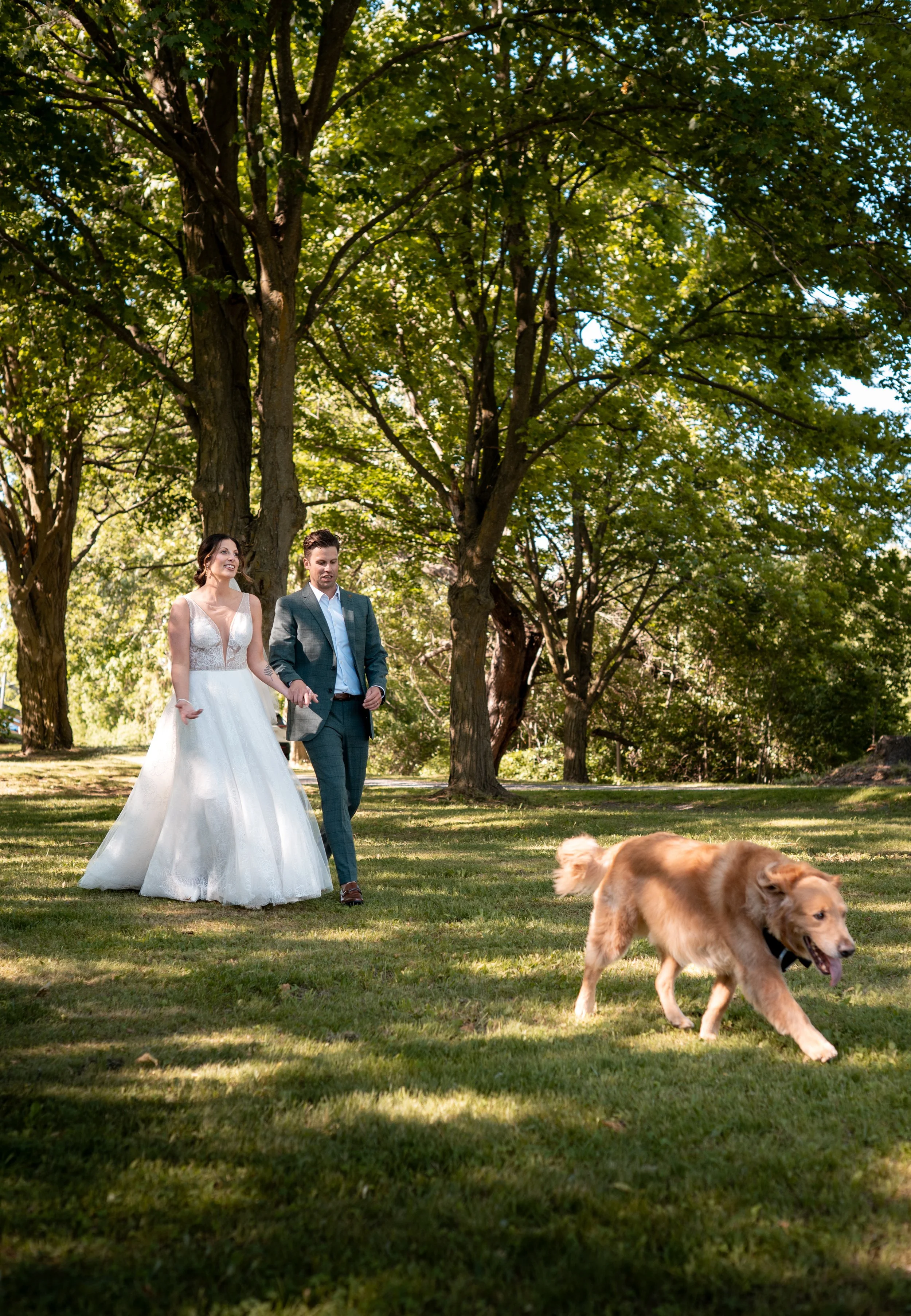 A bride and groom walk together in a park with trees and grass, accompanied by a golden retriever dog.