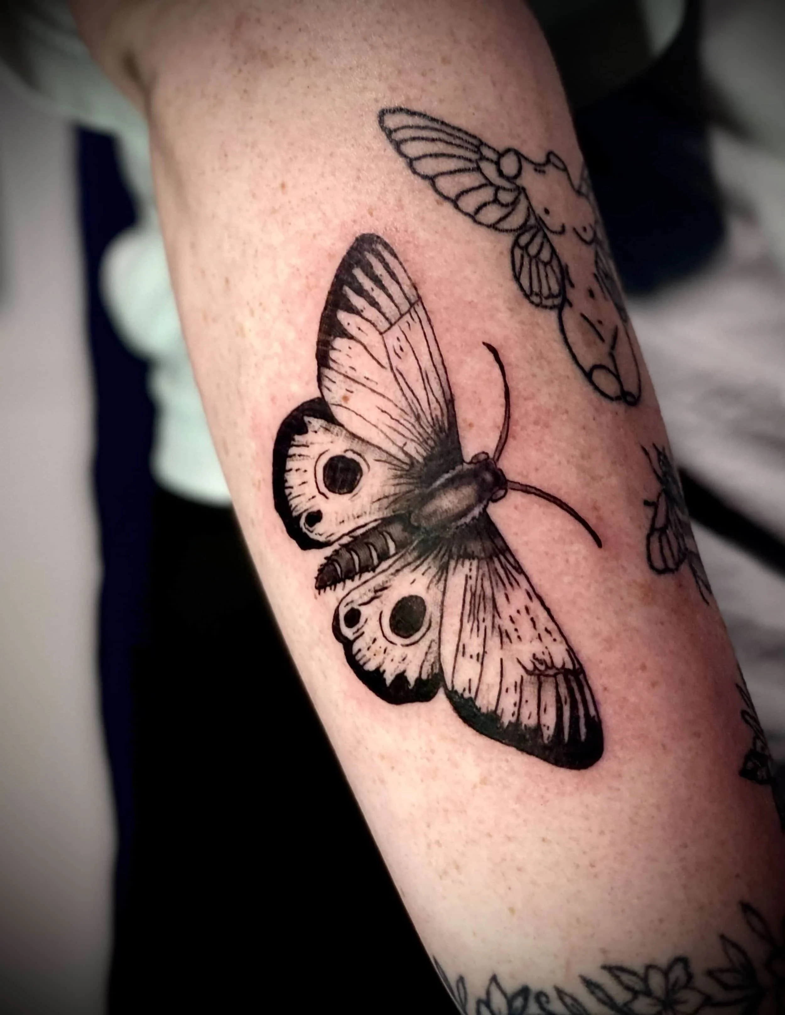 Moth tattoo, Fredericton New Brunswsick, good wave tattoo