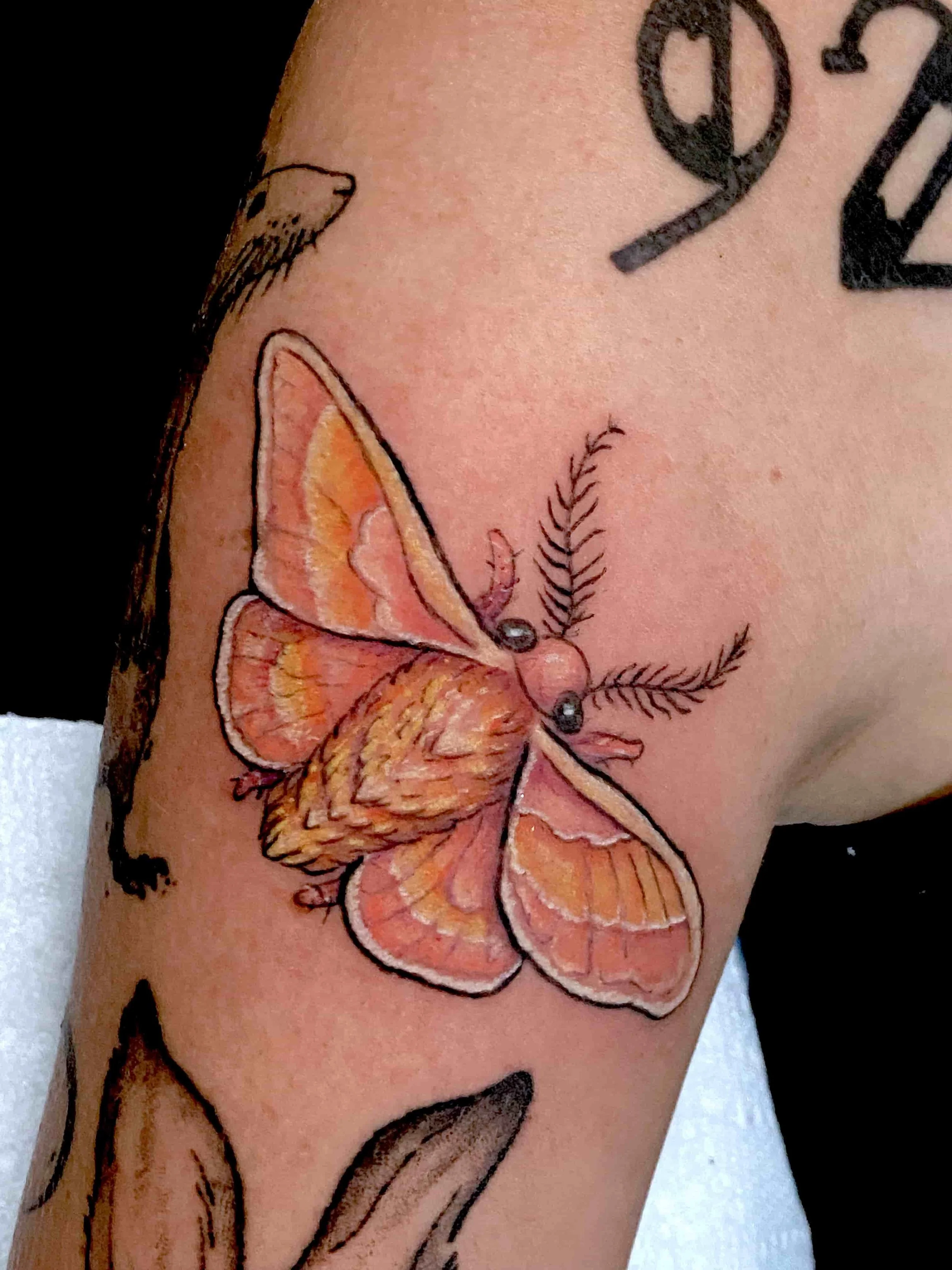 Fredericton color tattoo Good Wave tattoo Colour