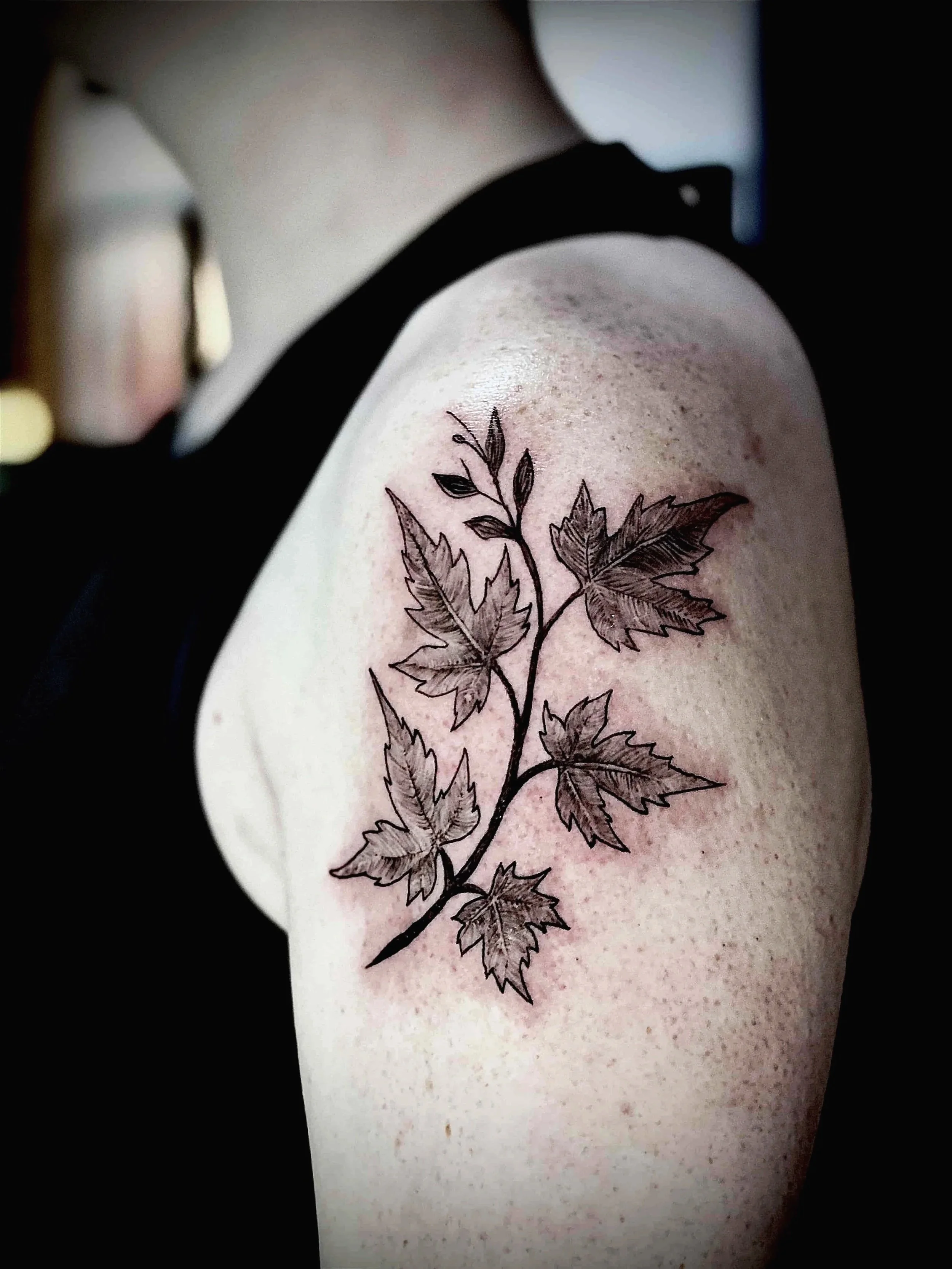 Tattoo Shop - Fredericton NB ♡ - Color, Fine Line, Black + Grey