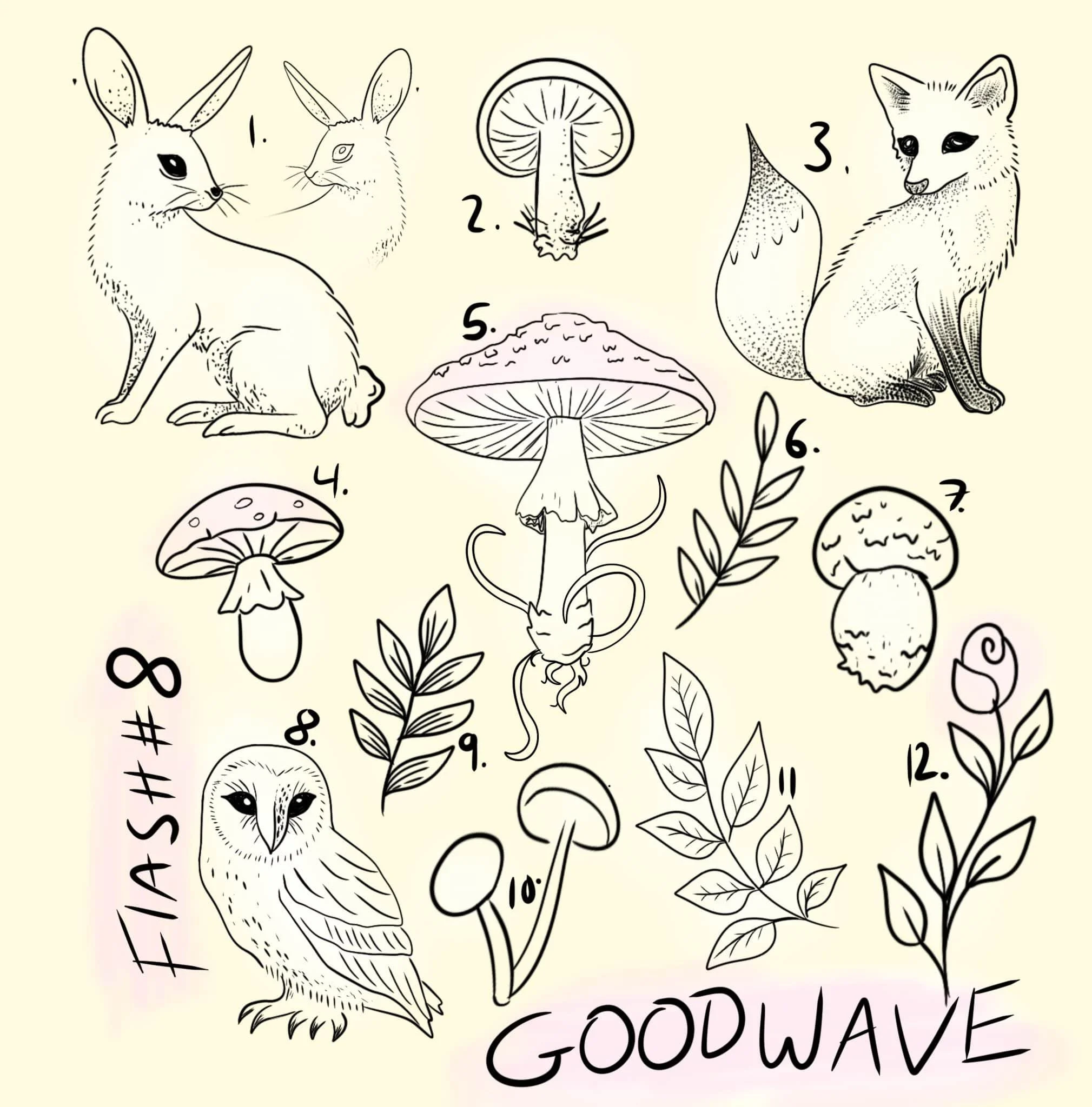Illustration of various animals, mushrooms, plants