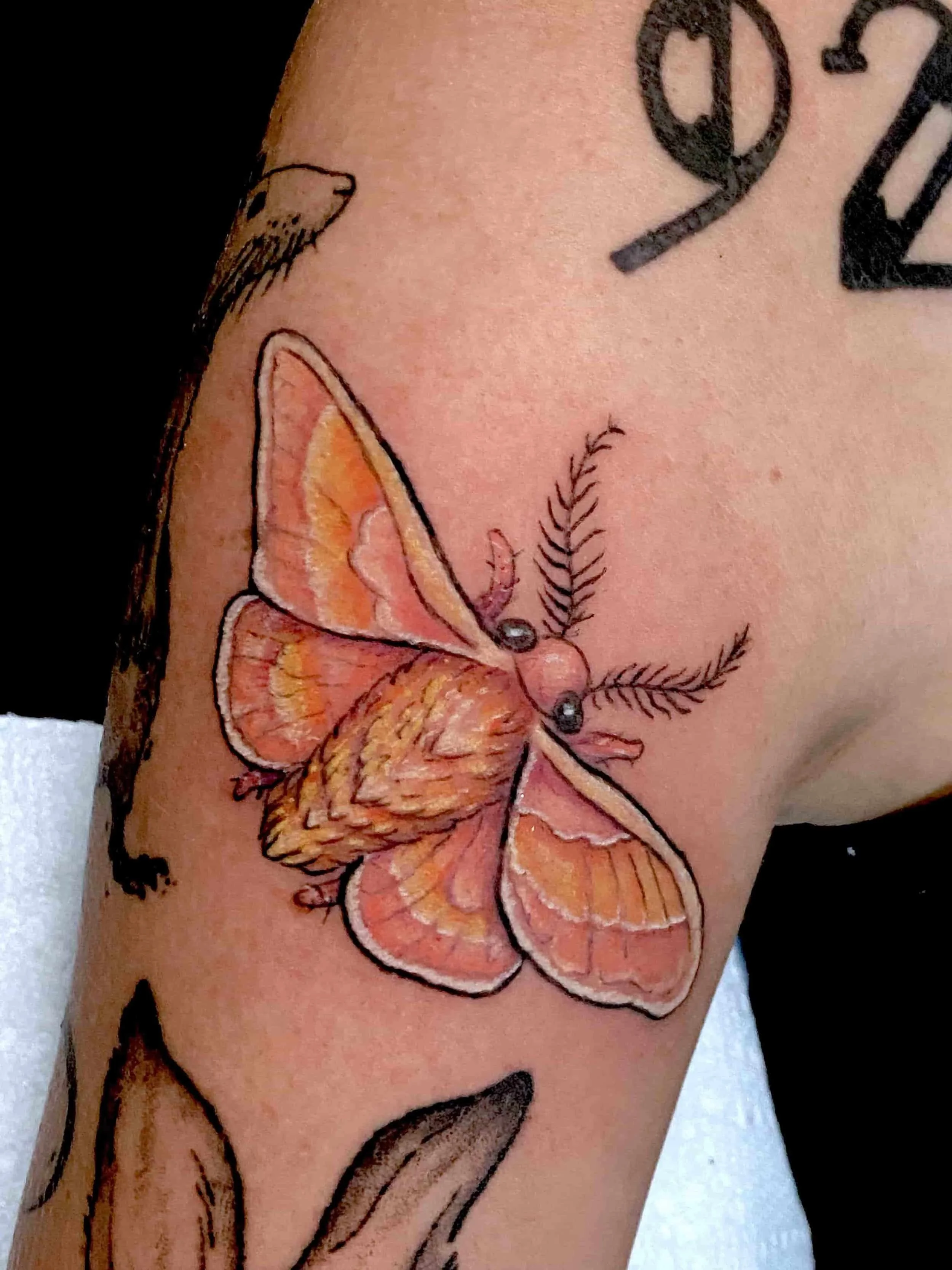 Fredericton colour tattoo Fredericton, Good Wave tattoo Colour