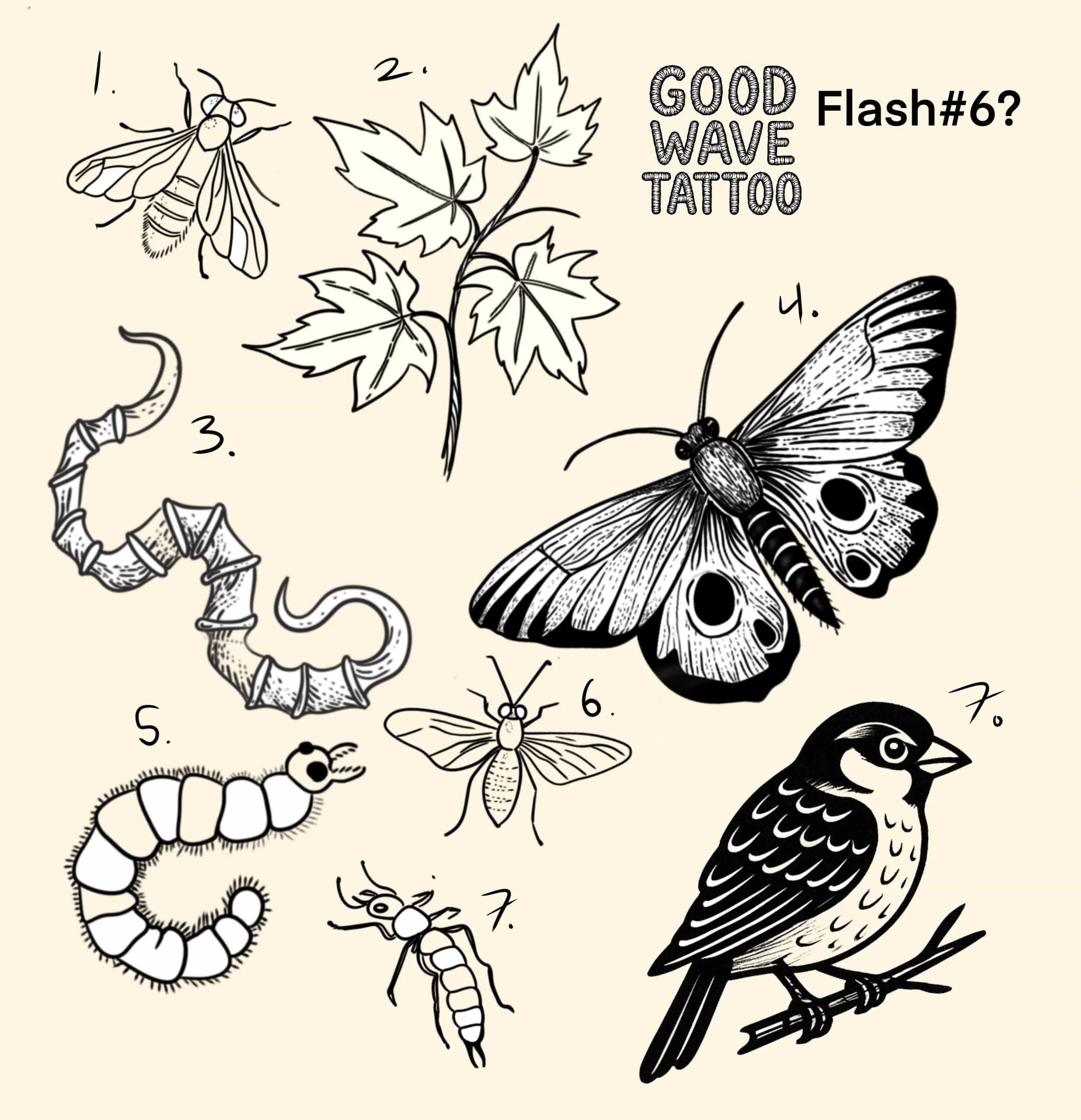 Diagram of various insects and a plant, with numbers and labels, including a moth, butterfly, caterpillar, bee, beetle, wasp, and a bird, designed for a tattoo reference.