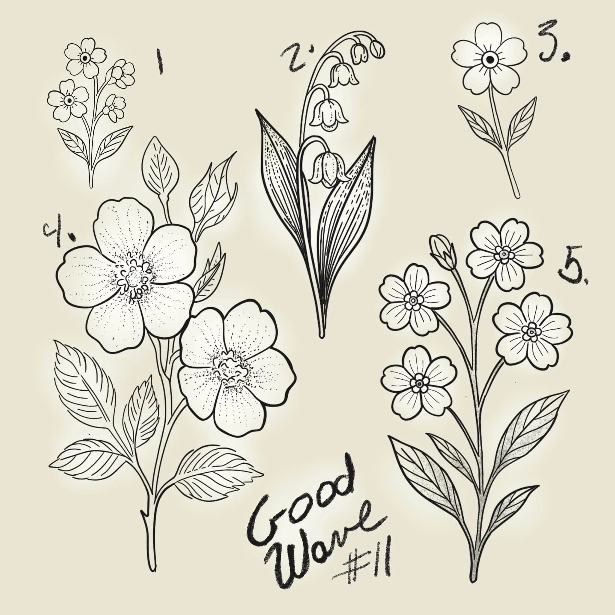 Black and white botanical illustrations of five different flowers