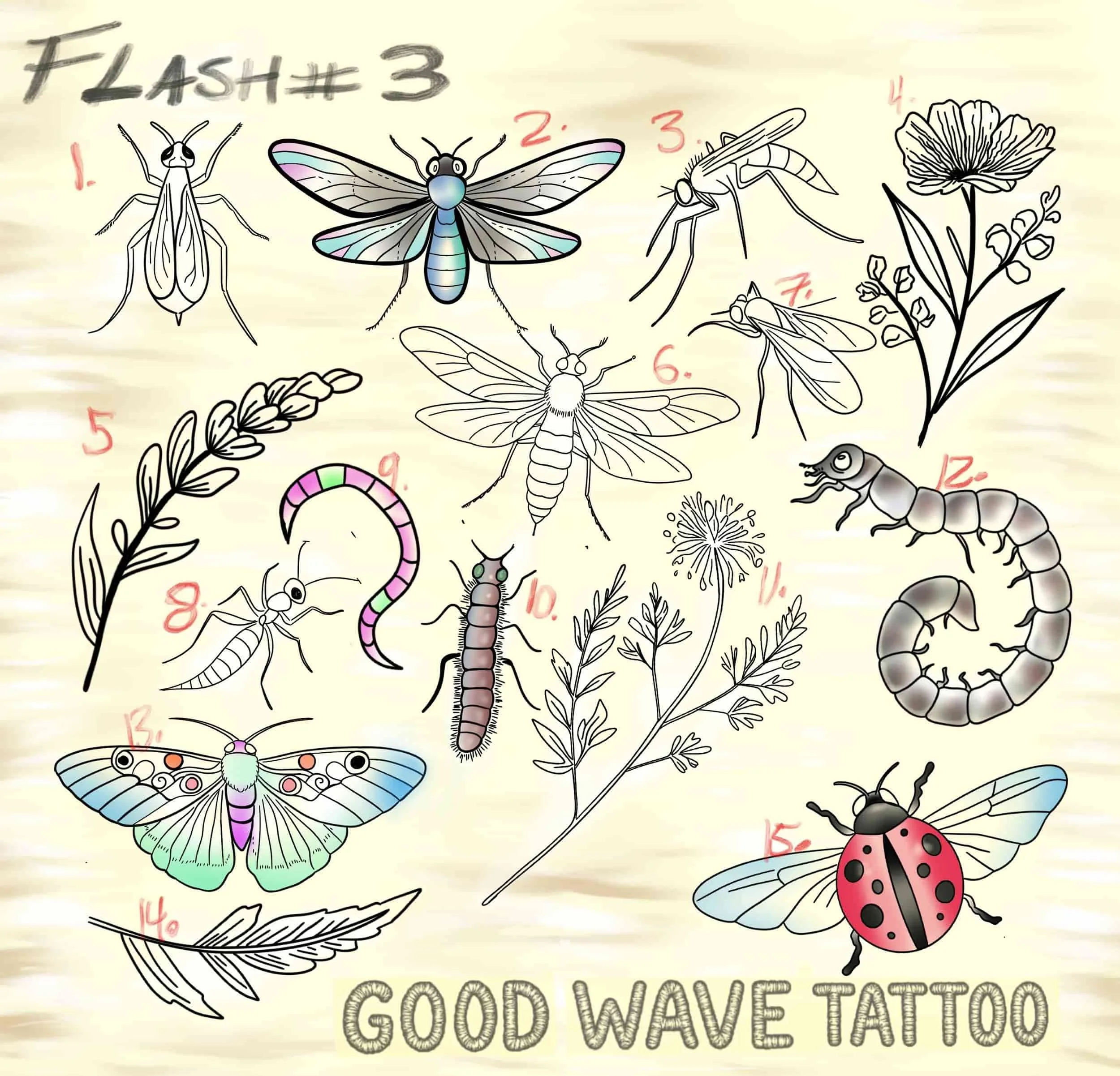 Illustration of various insects and a flowers