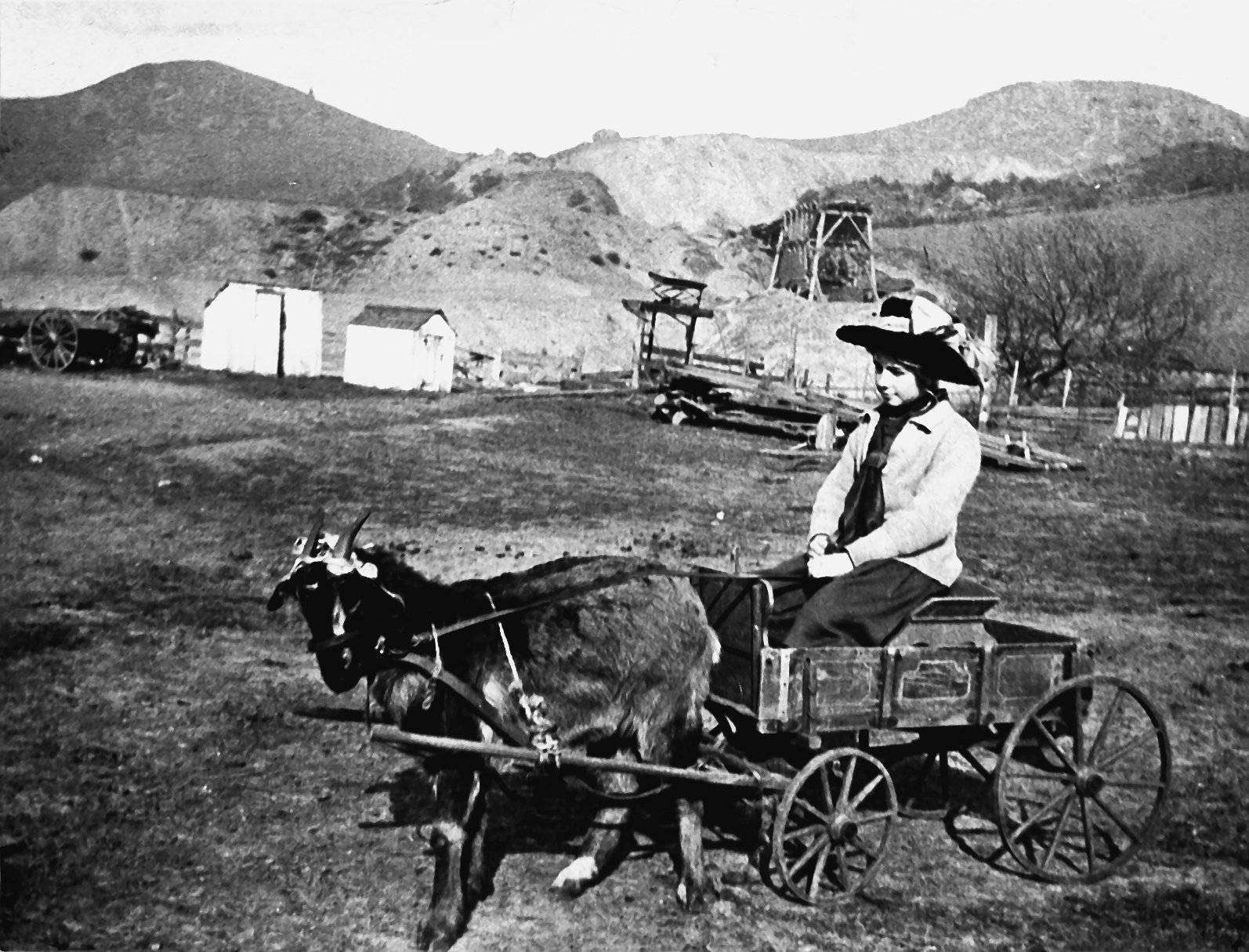 El Cerrito History Hike