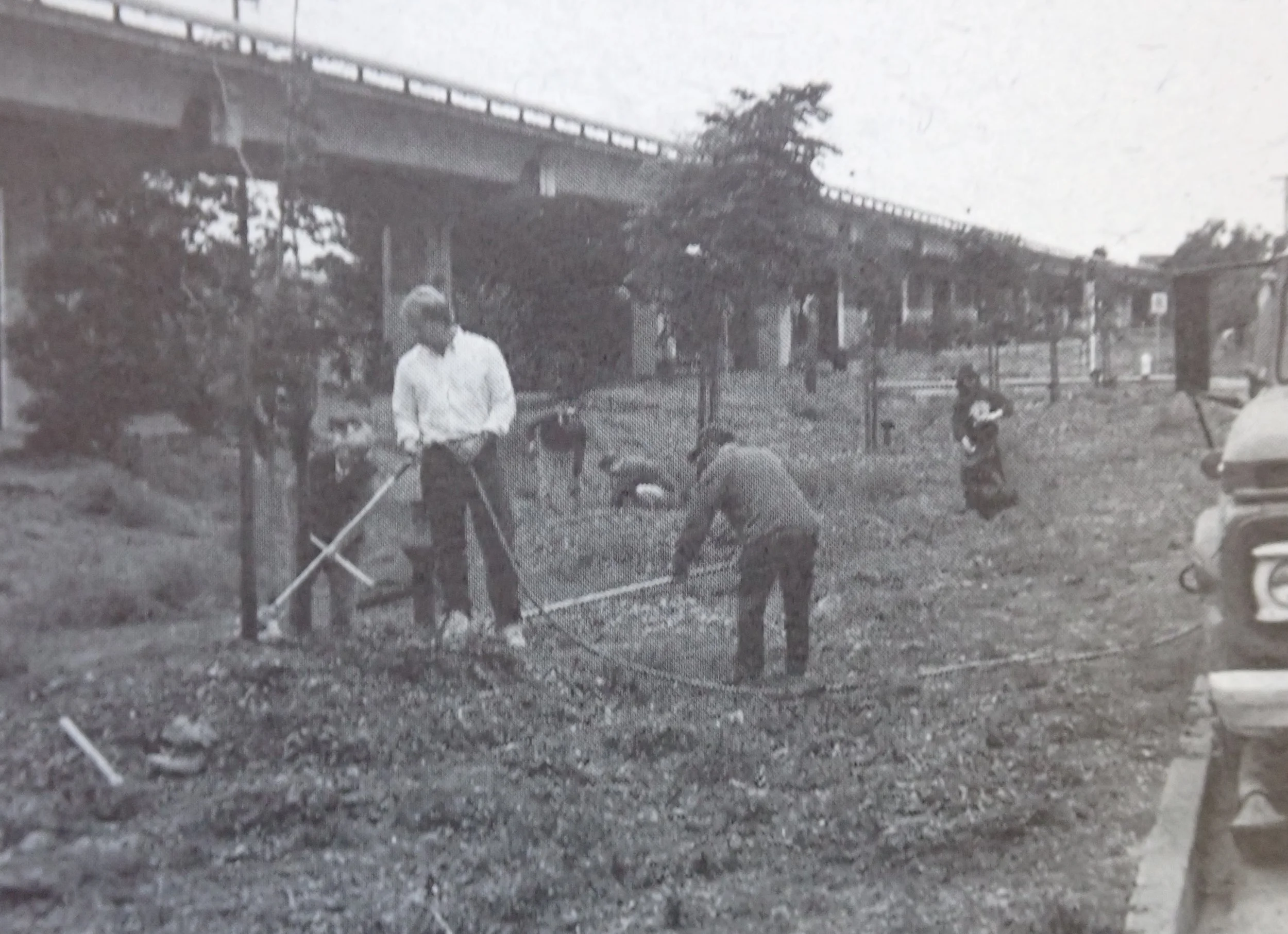 Greening the Greenway: Ohlone Greenway Hike
