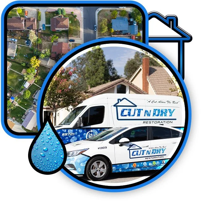 Cut N Dry Restoration