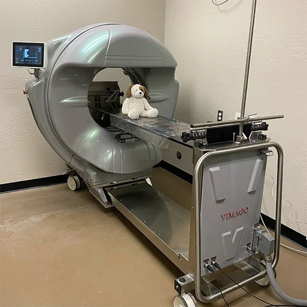 ct-scan.jpeg