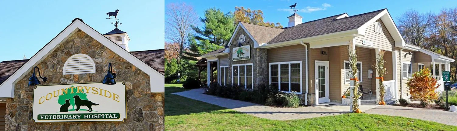 Countryside-Veterinary-Hospital.jpeg