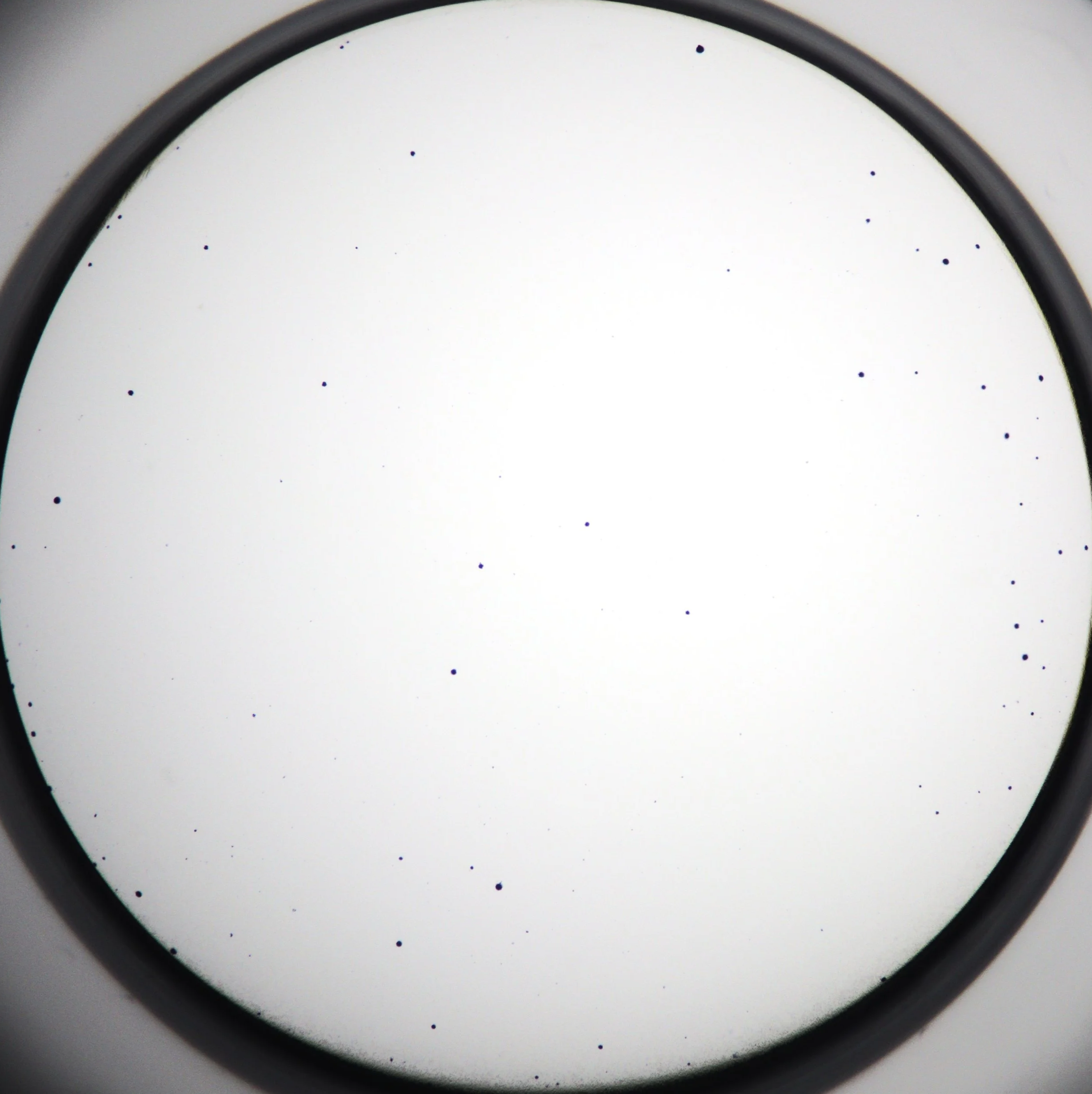 Pathogen Specific Memory B Cell Detection