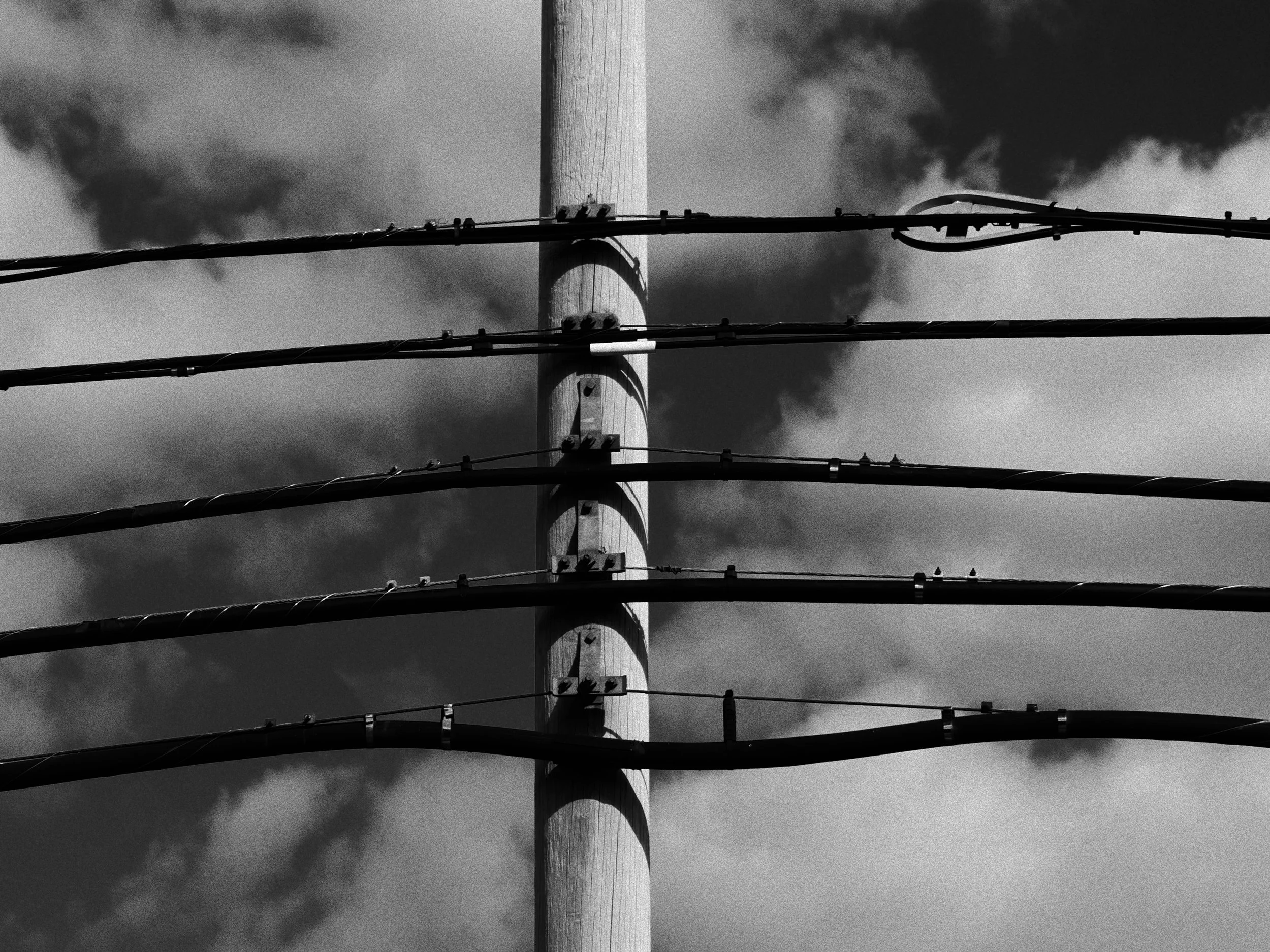 PA109724.jpg