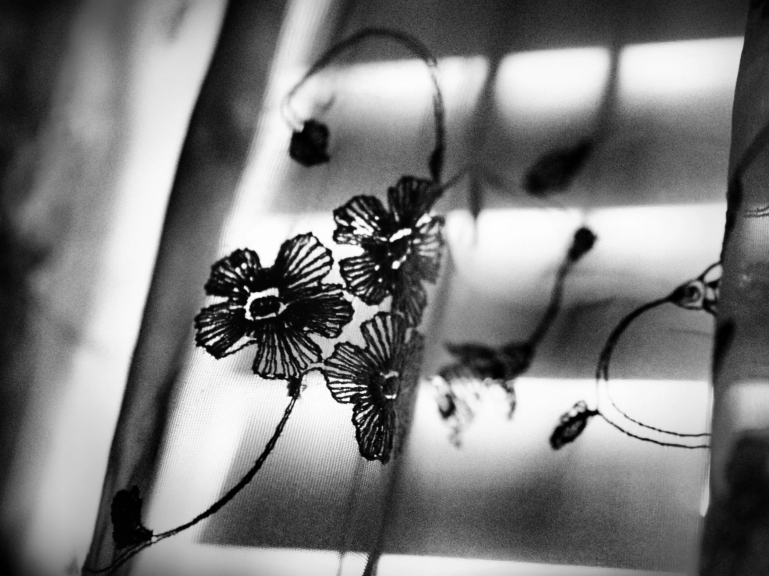 P1113899.jpg