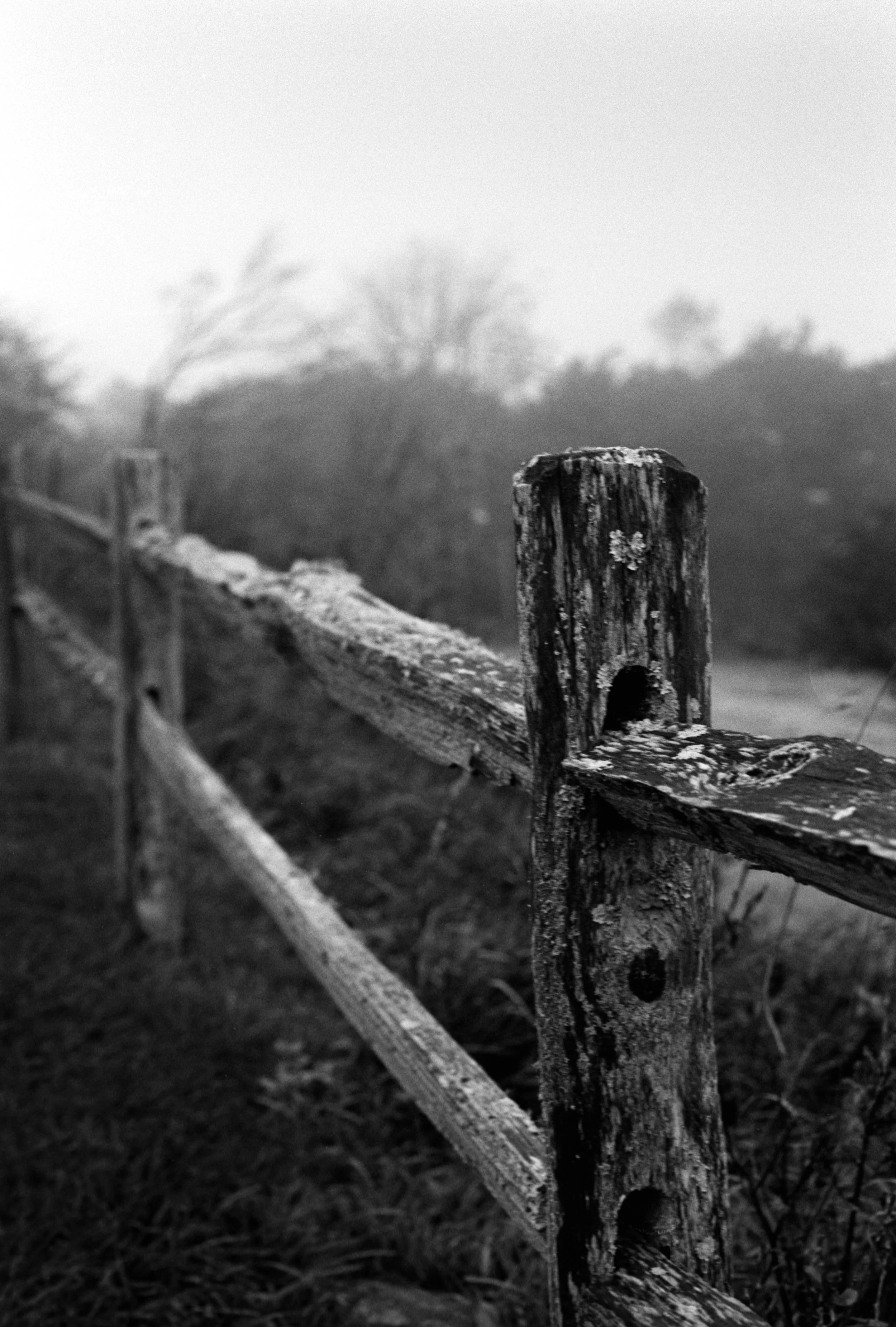 Fence