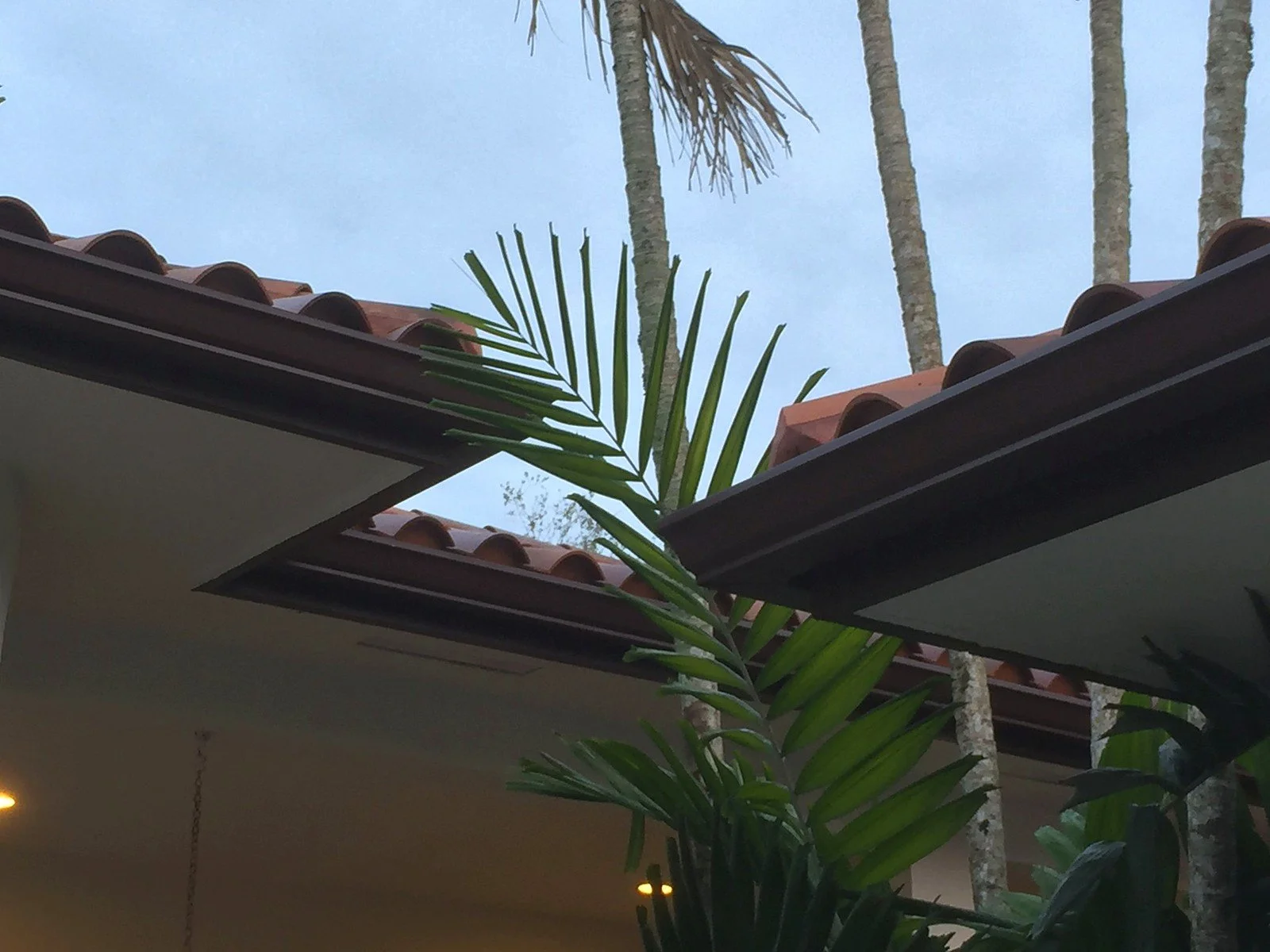 Bronze seamless gutter fitted below the barrel tile edge on a Miami home