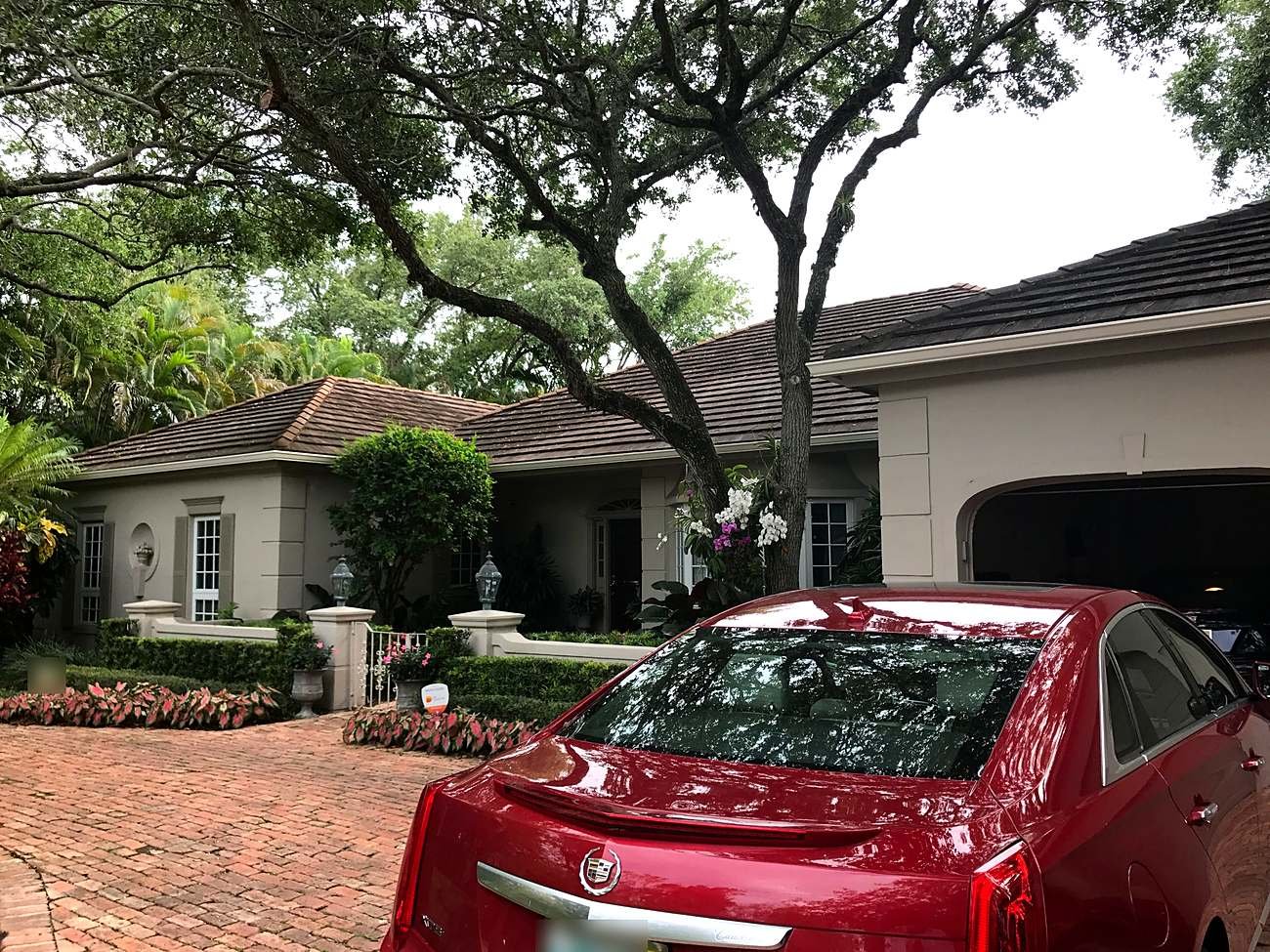 The oak canopy sits directly over the roofline. This is the condition that drives gutter decisions in Coral Gables.