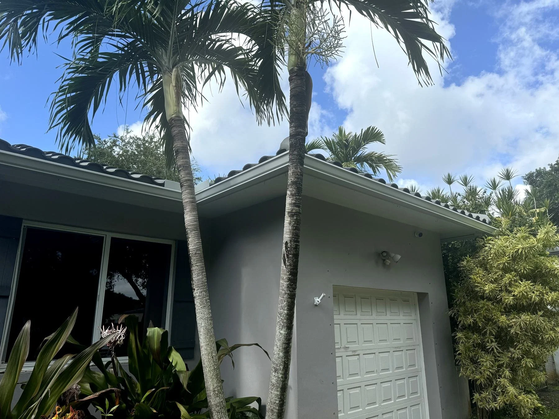 Seamless gutter along a barrel tile roof surrounded by palms in Miami