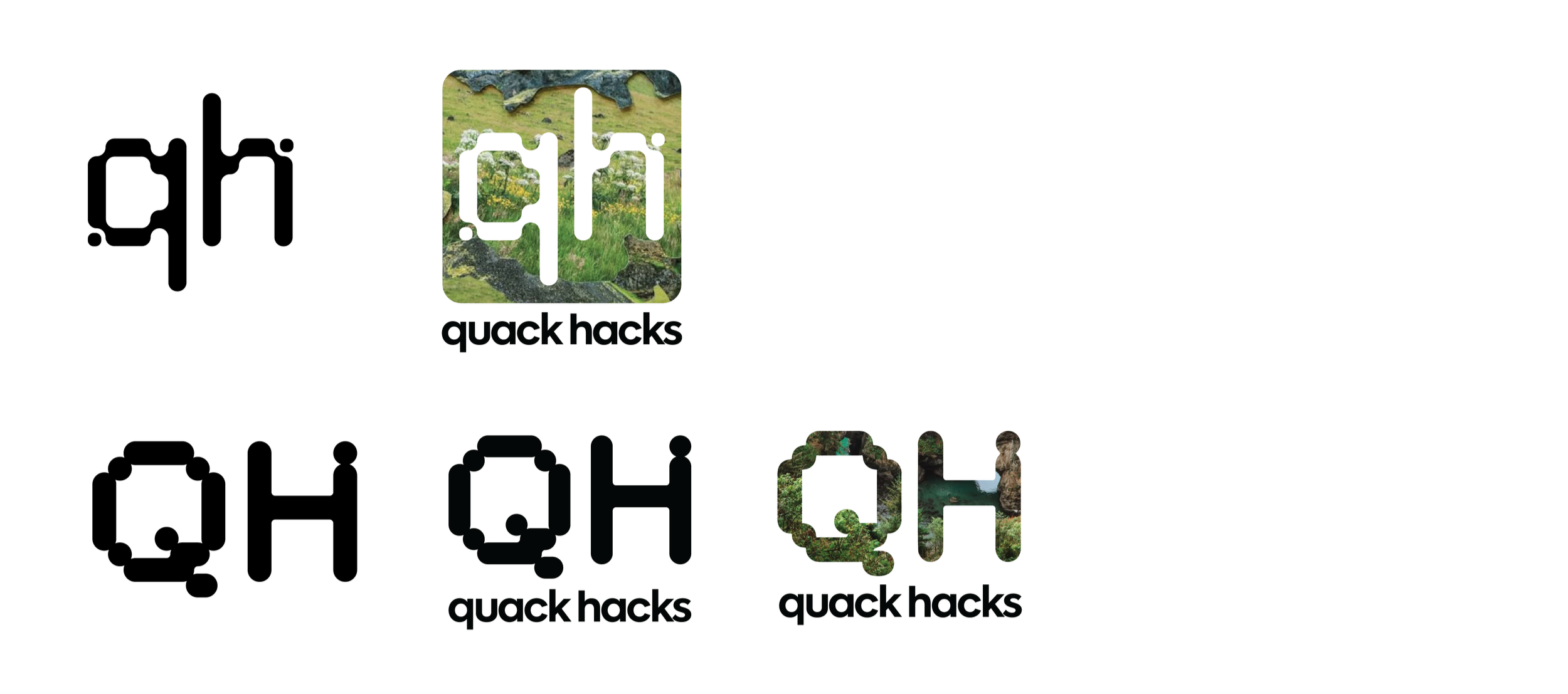 QH+logoprocess.png