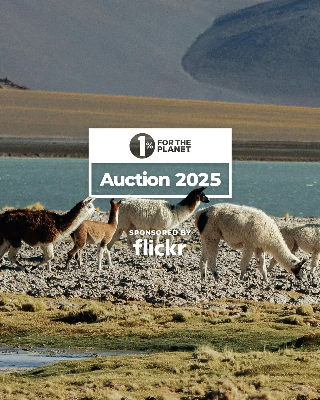25_GlobalAuctionToolkit_Carousel01-copy_01.jpg