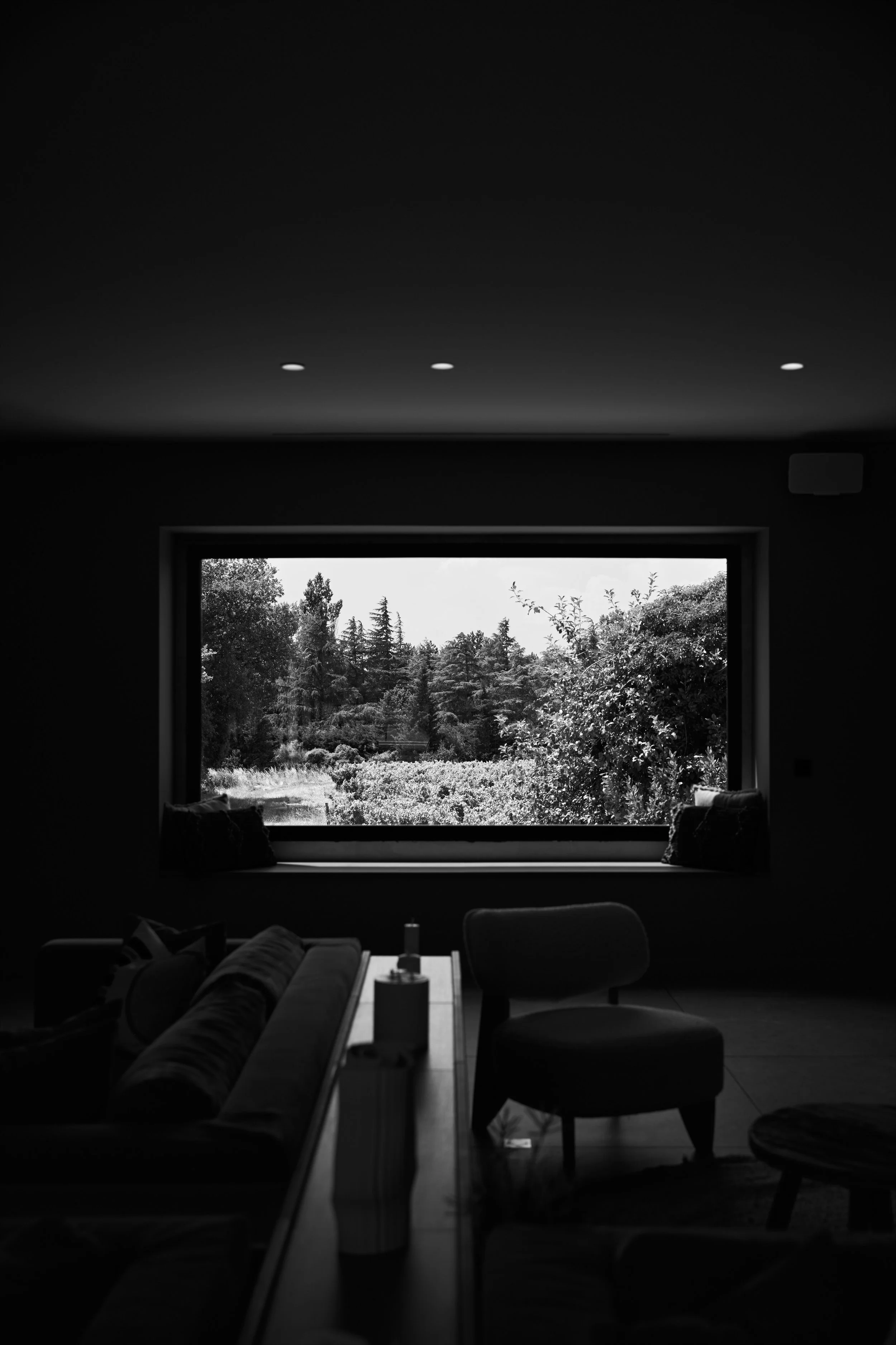 A27A5456.jpg